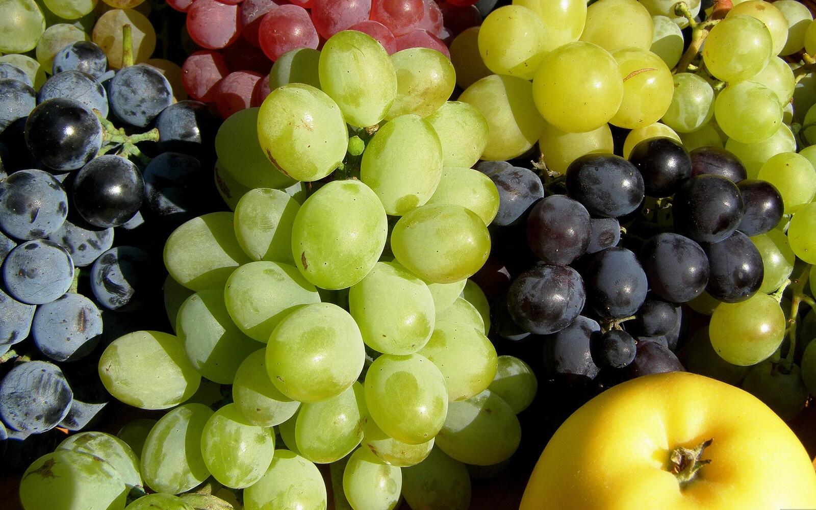 Wallpapers grapes fruits colors on the desktop