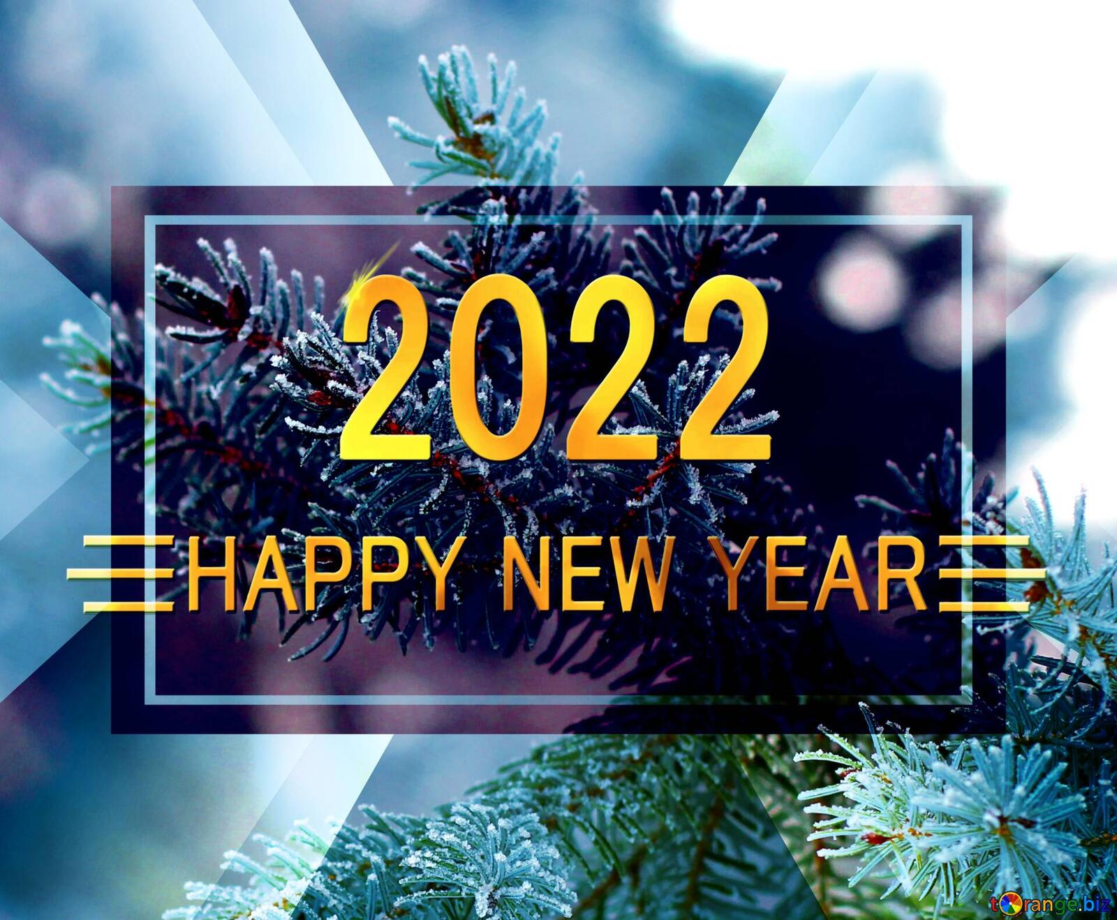 Wallpapers new year 2022 branch 2022 on the desktop