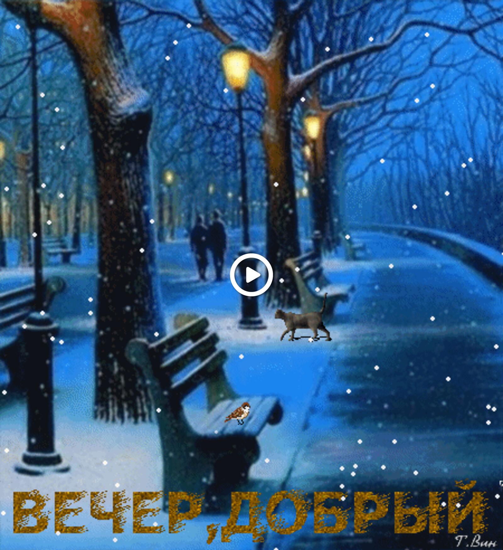 一张以冬夜 早上好的动画图像与愿望 晚上为主题的明信片