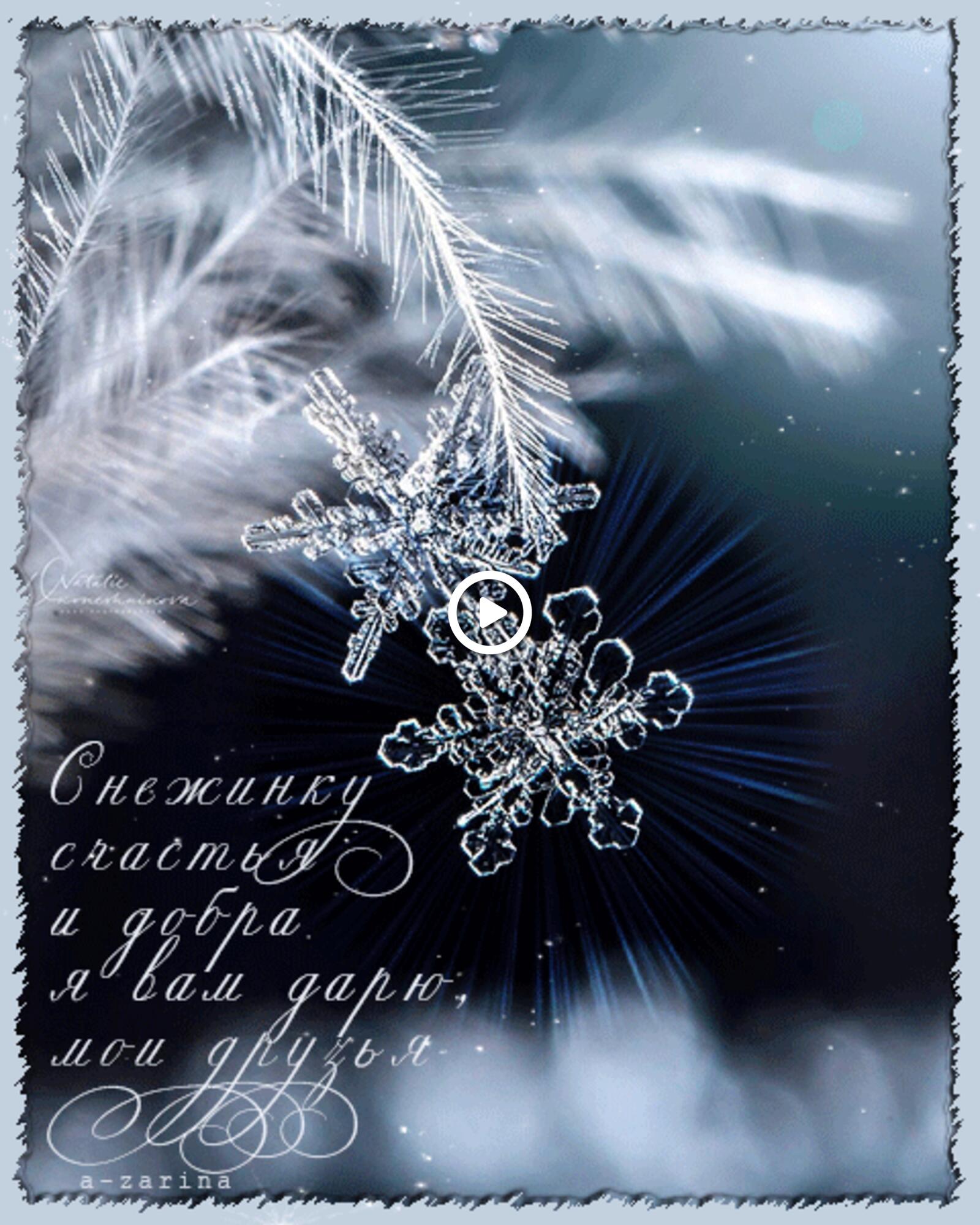 A postcard on the subject of animation snowflake frost for free