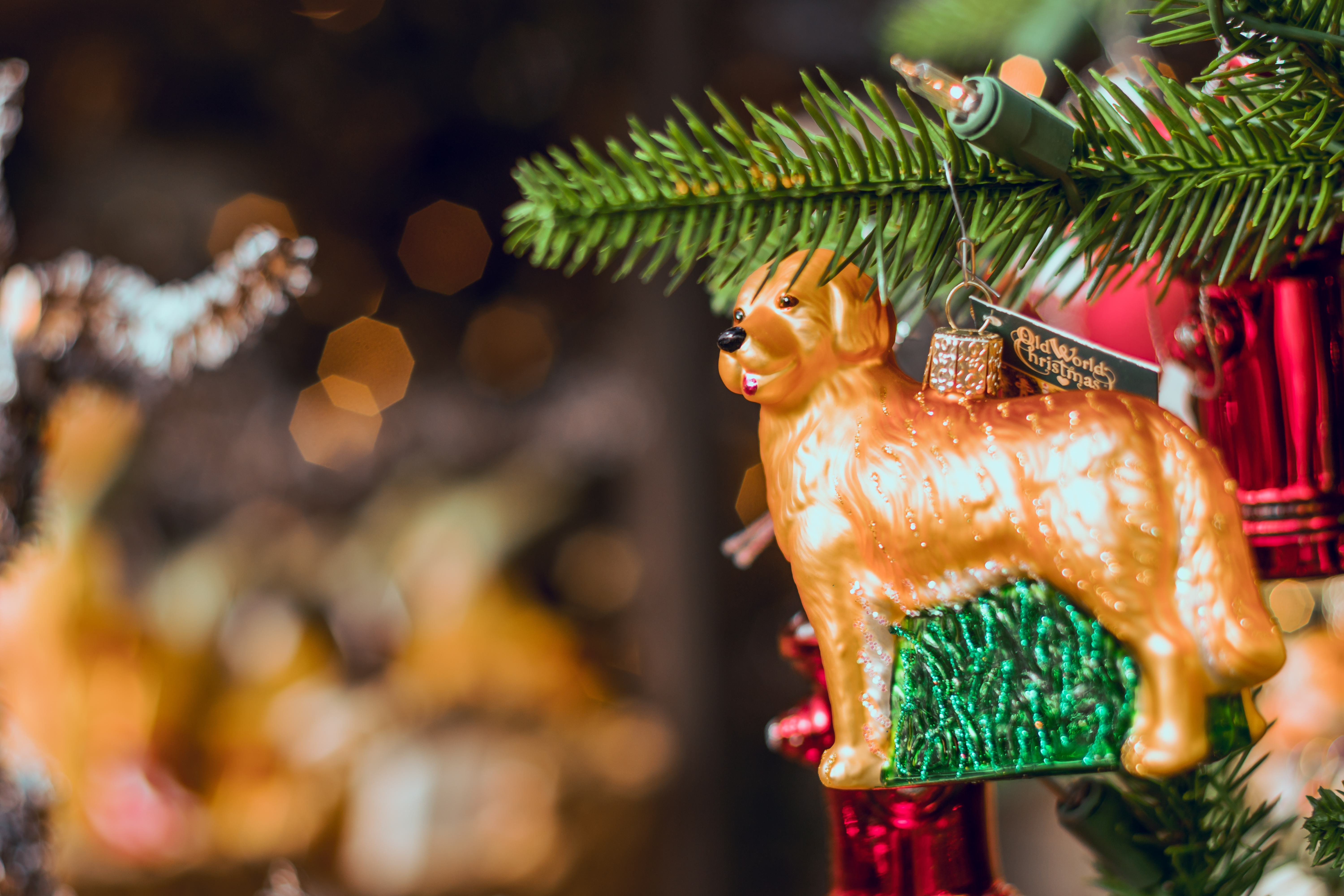 Фото бесплатно золотая собака, украшение, новый год