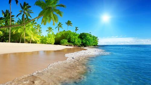 海滩和棕榈树