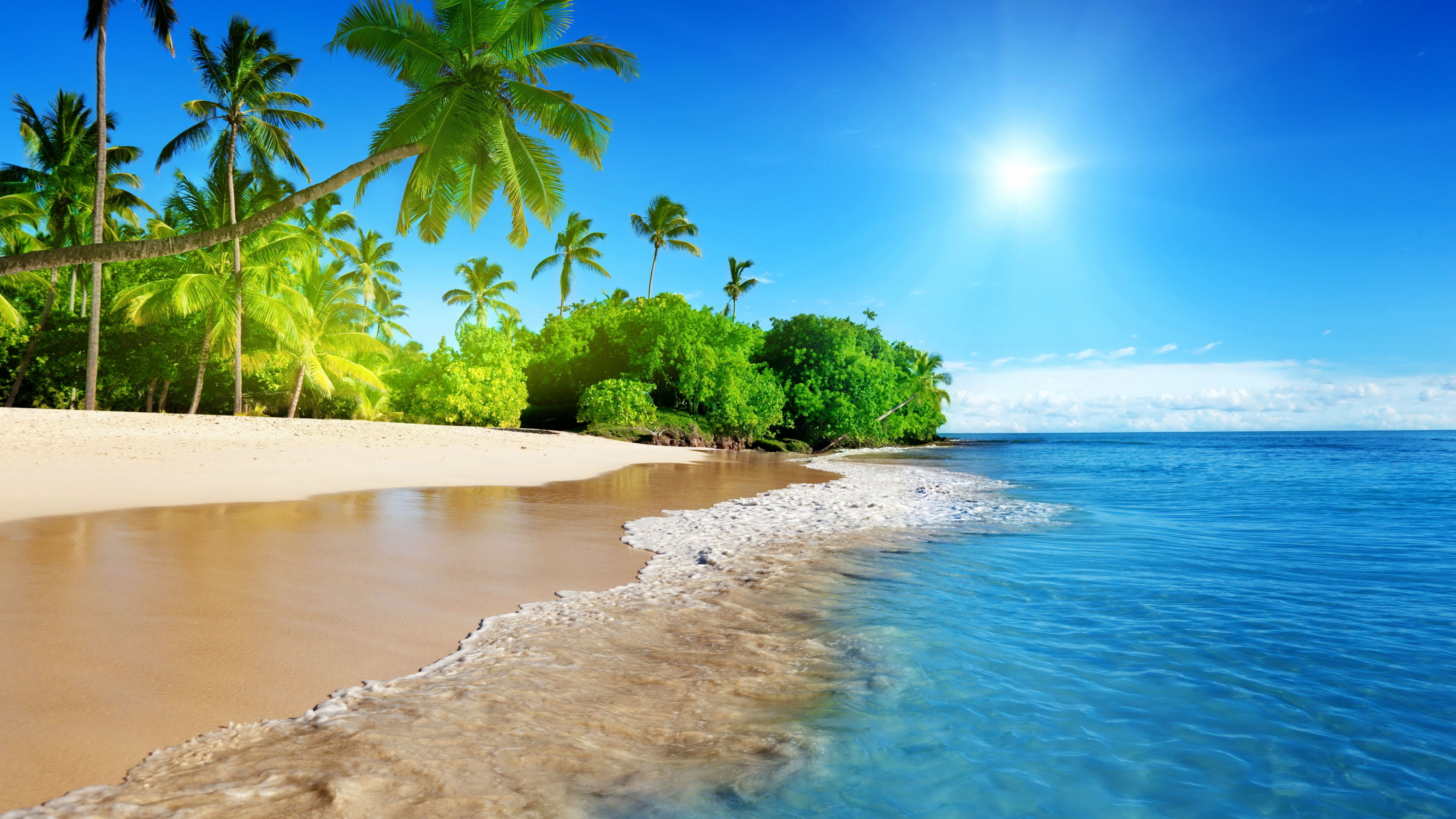 Бесплатное фото Пляж и пальмы