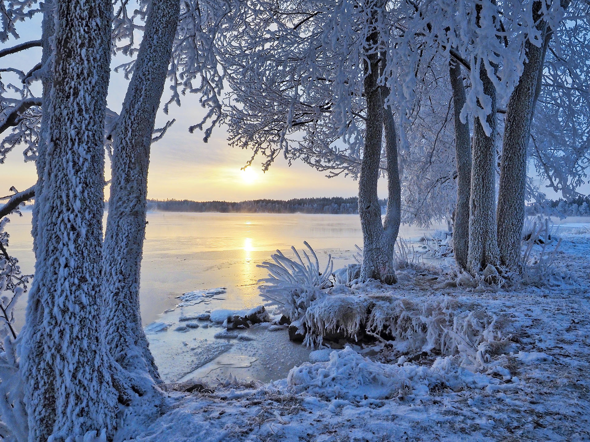 桌面上的壁纸芬兰 赛马湖 冬季