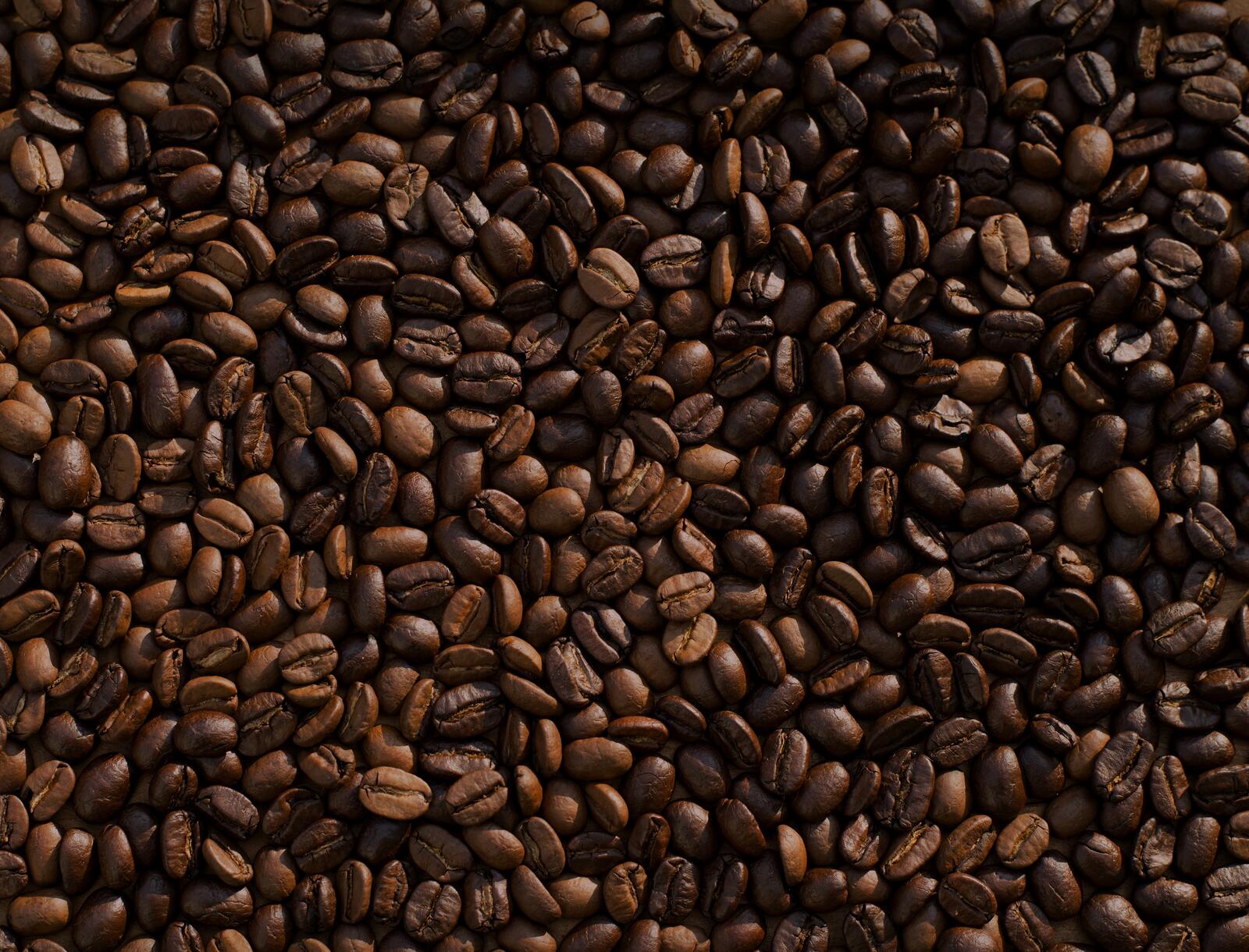 Free photo Coffee bean background