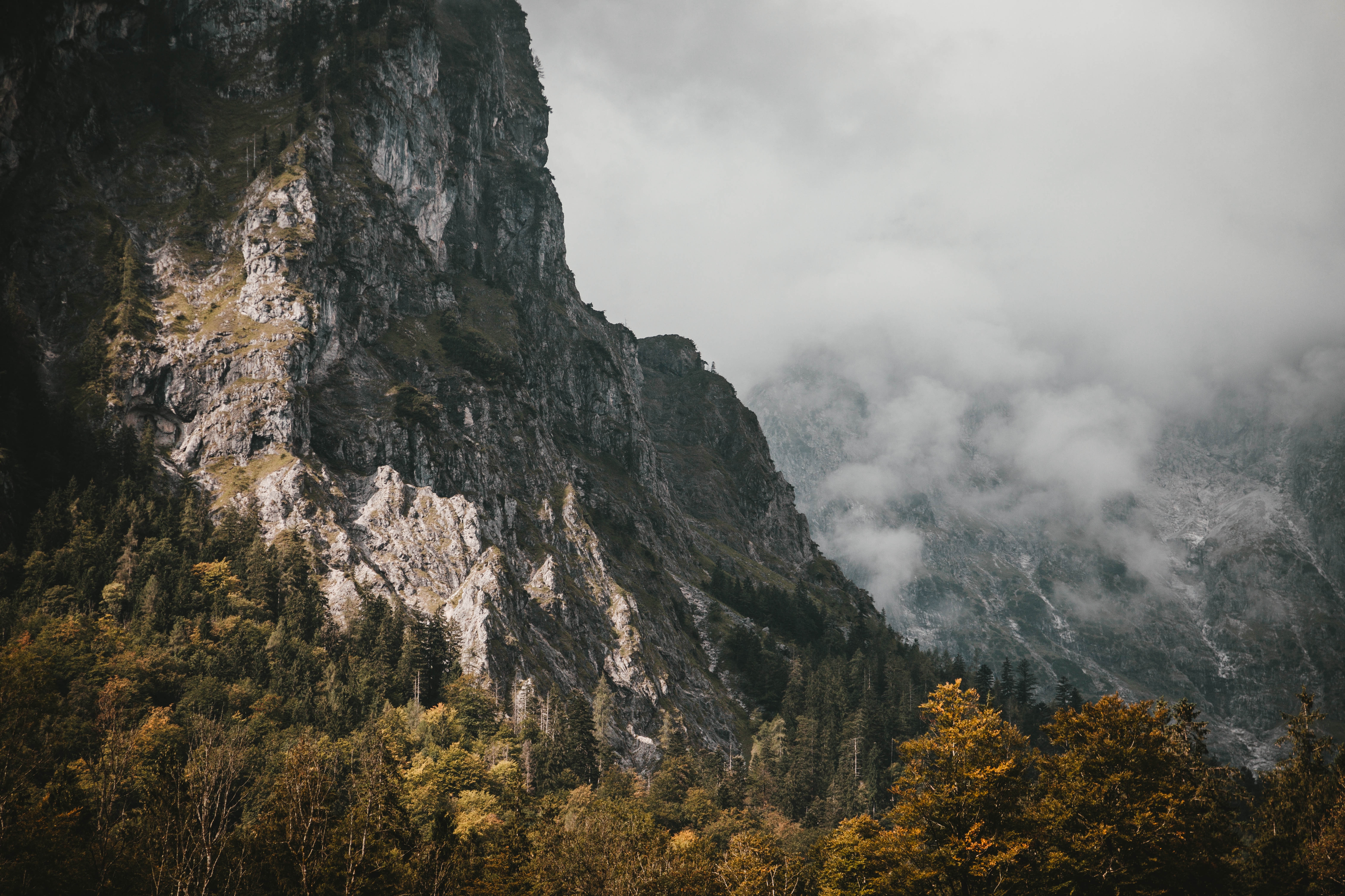 Фото бесплатно пейзажи, скала, туман