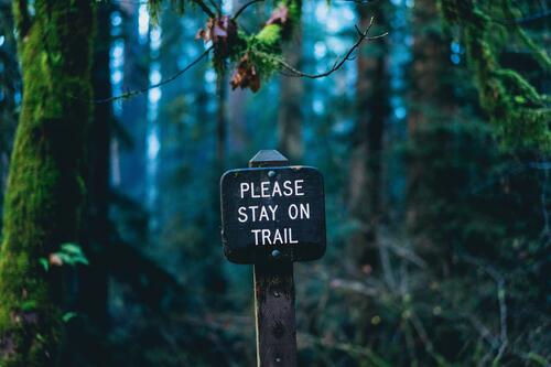 Please stay on trail