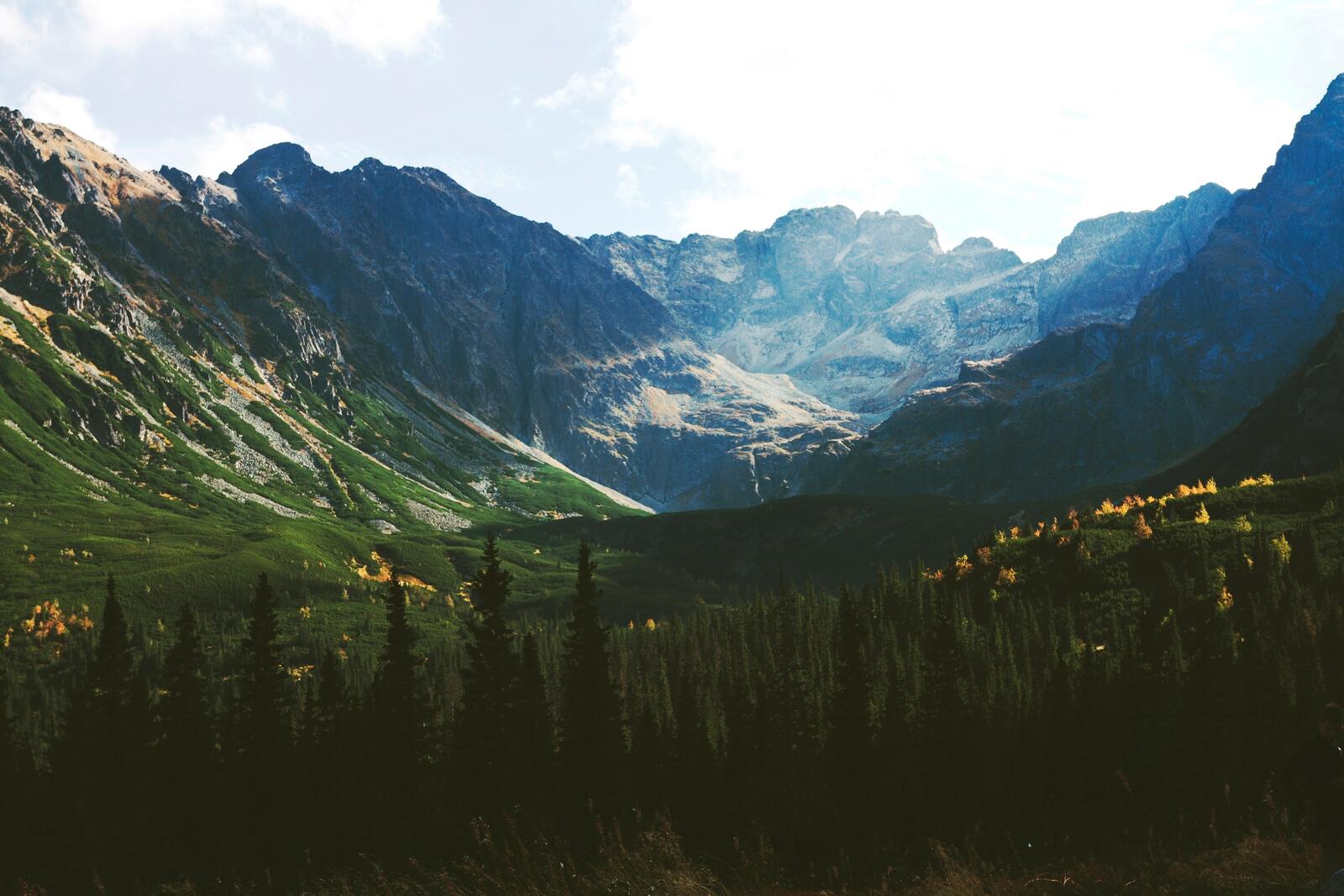 Wallpapers meadow landform Alps on the desktop