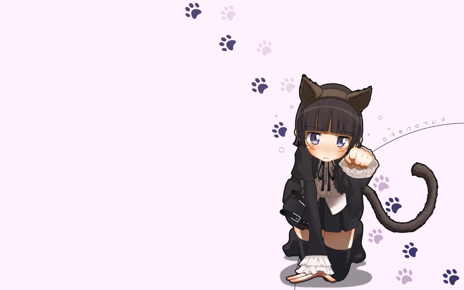 Wallpapers illustration an anime girl cat on the desktop