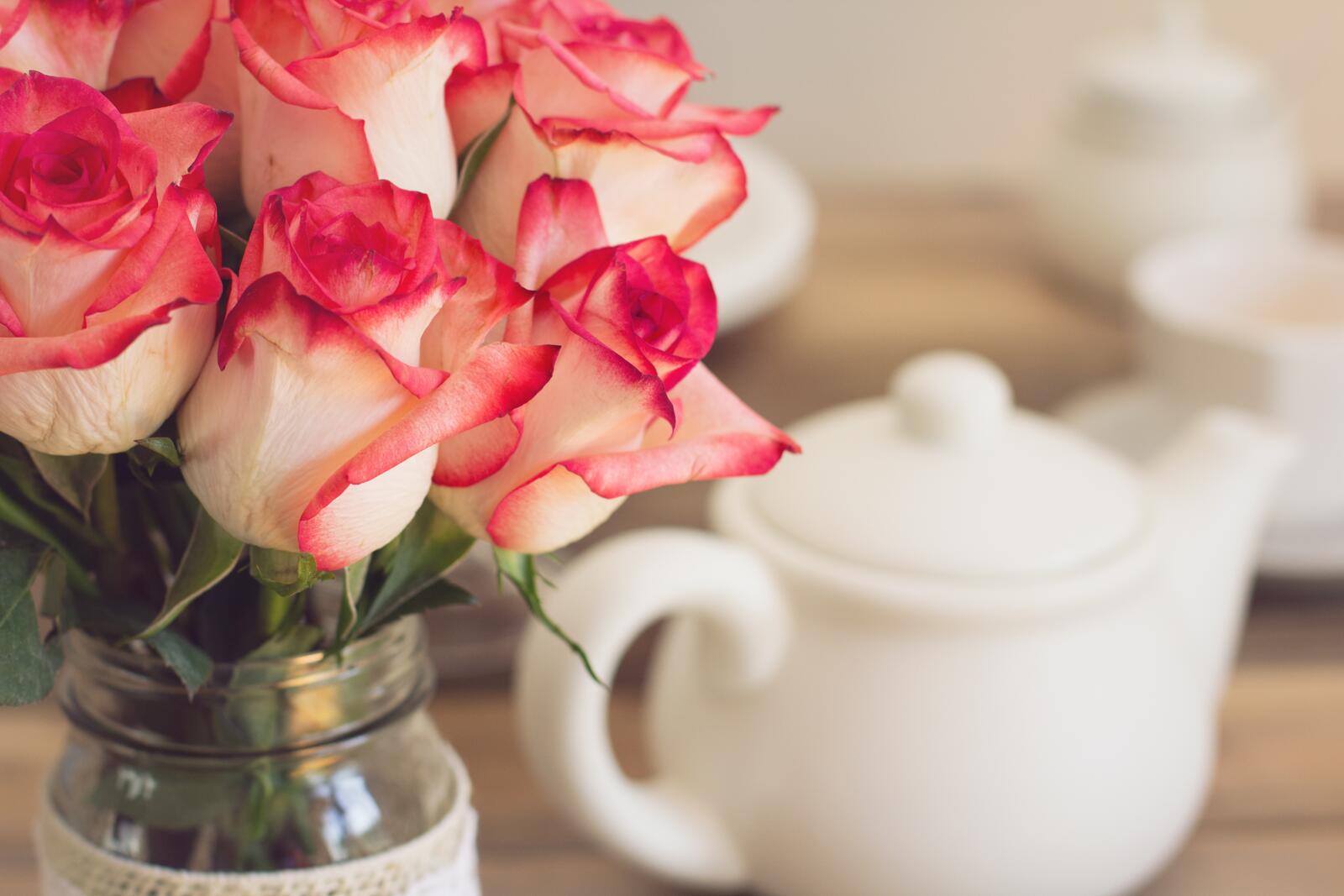 桌面上的壁纸花卉艺术 花瓣 茶话会