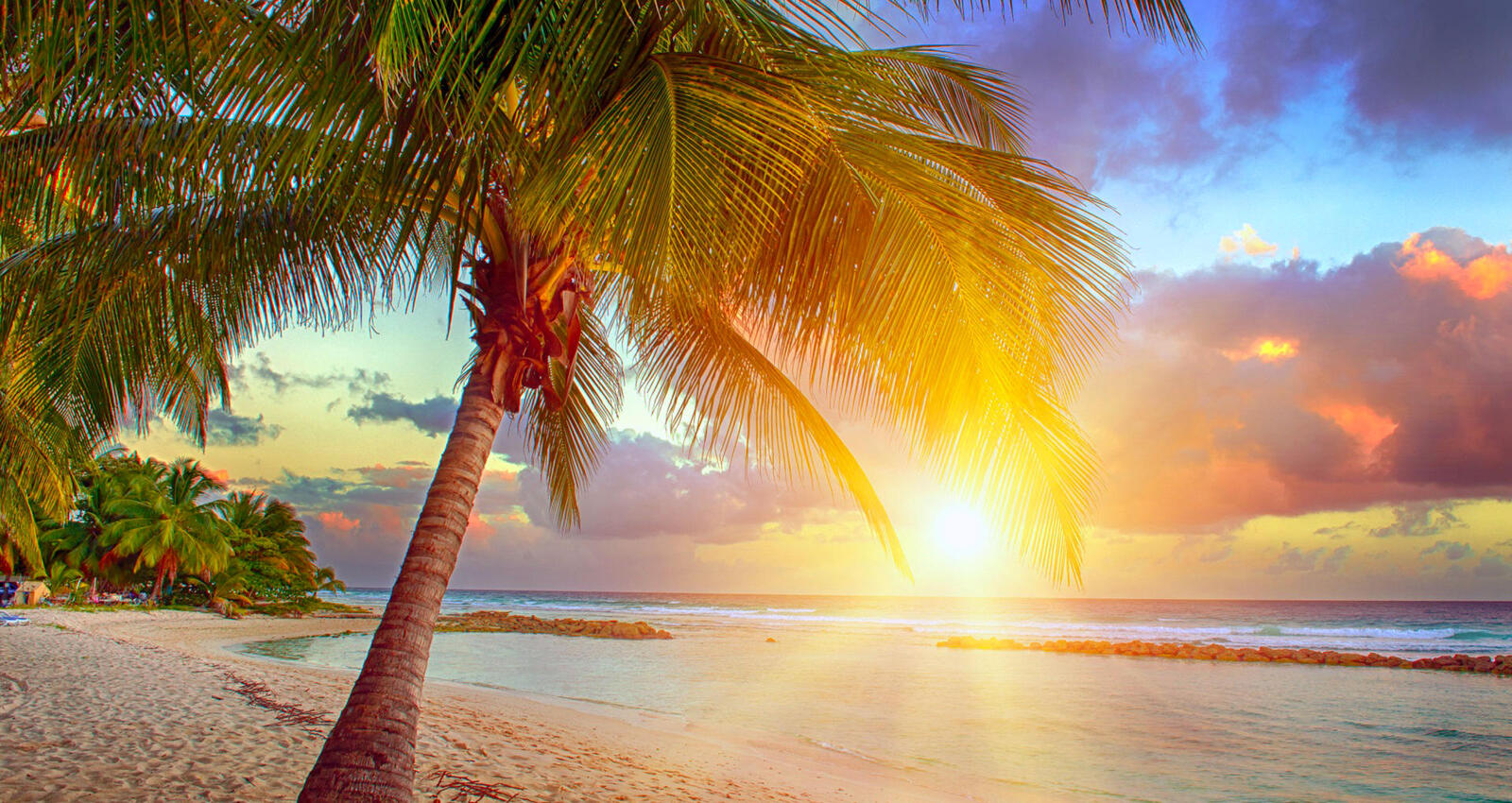 Wallpapers tropics sun light view from the shore on the desktop