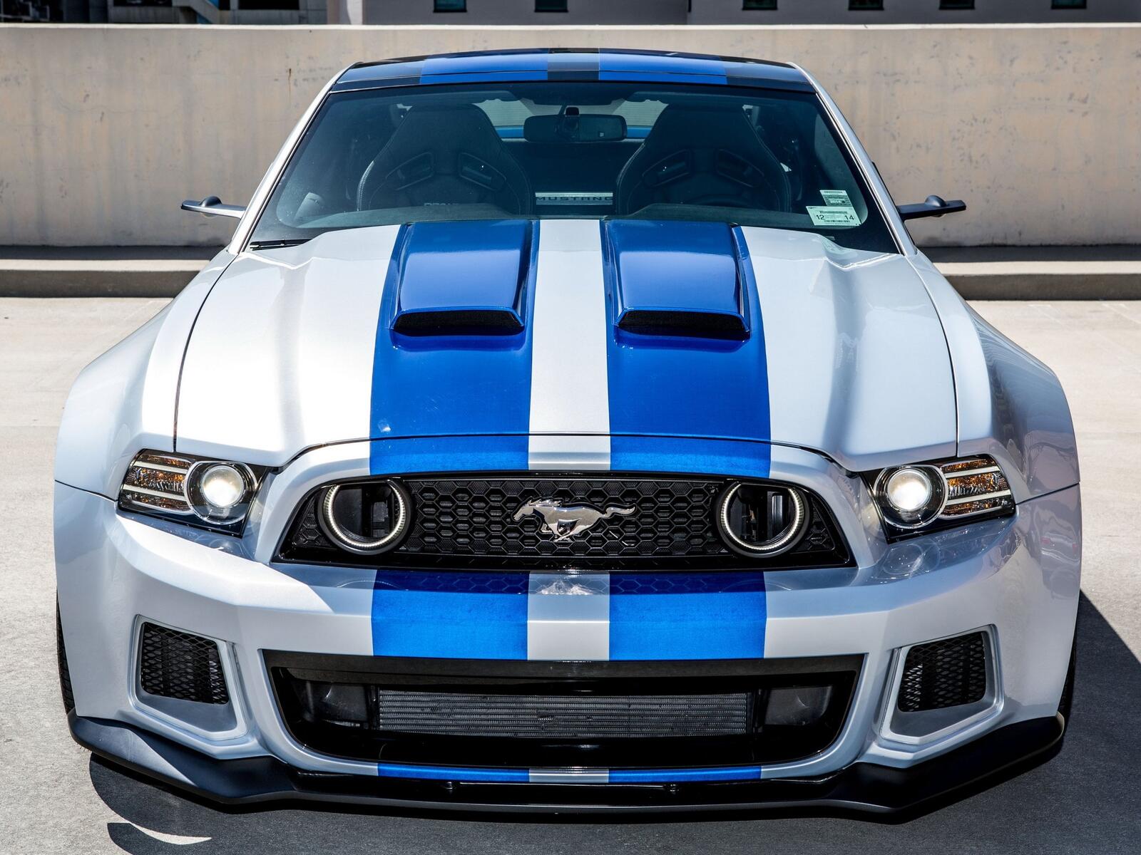 Wallpapers Ford Mustang GT front view muscle on the desktop