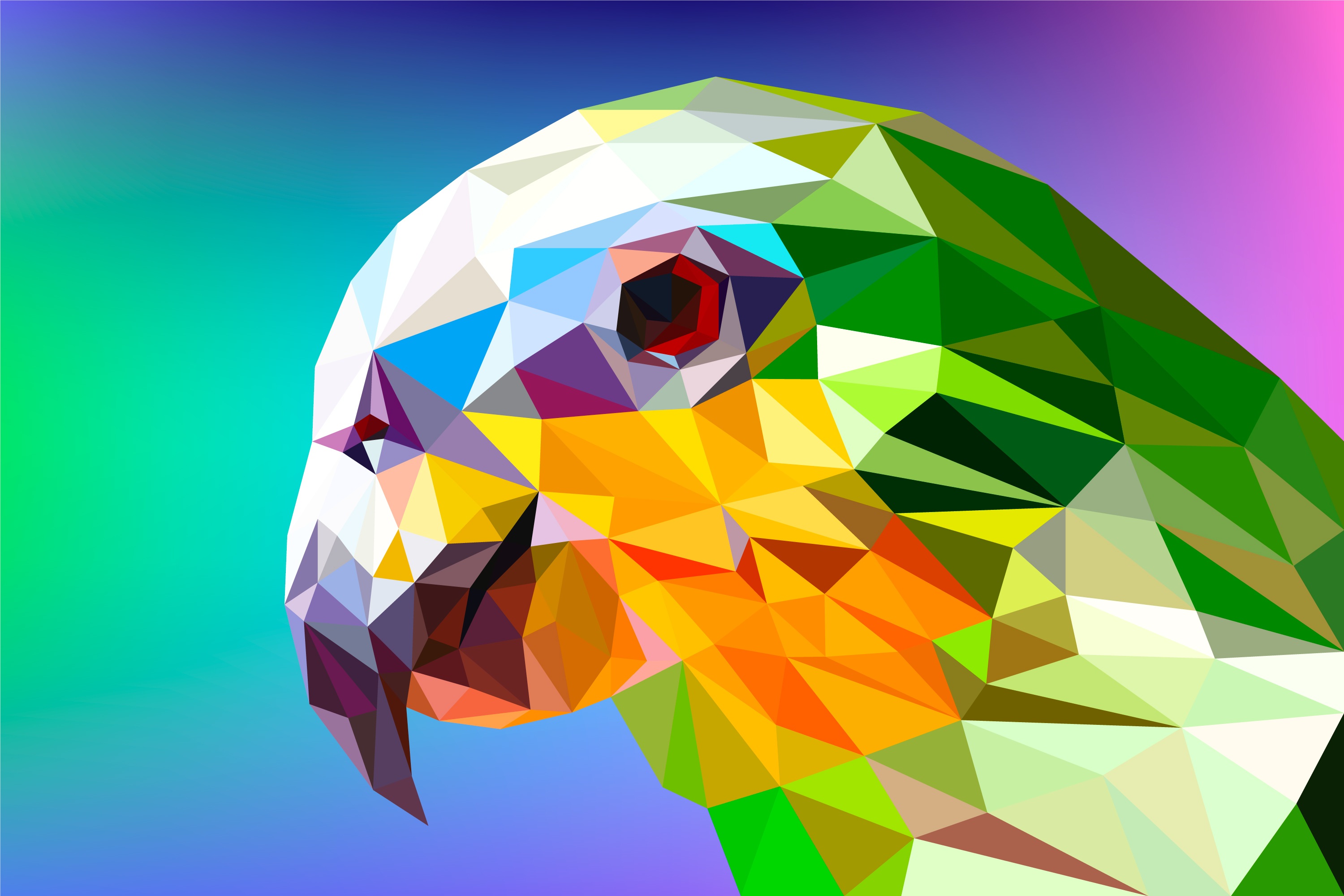 Wallpapers parrot facets rendering on the desktop