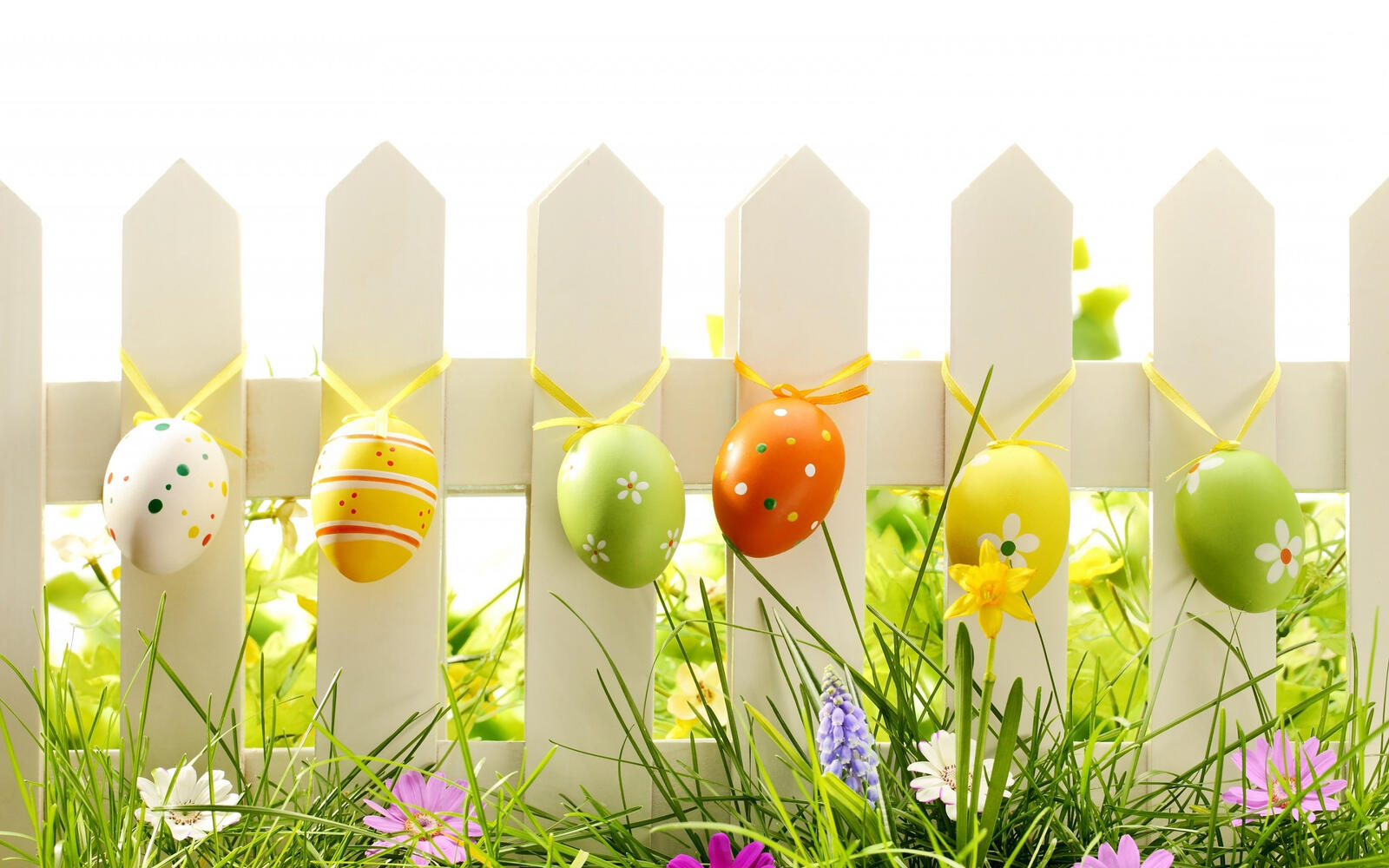Wallpapers easter eggs fence colored eggs on the desktop