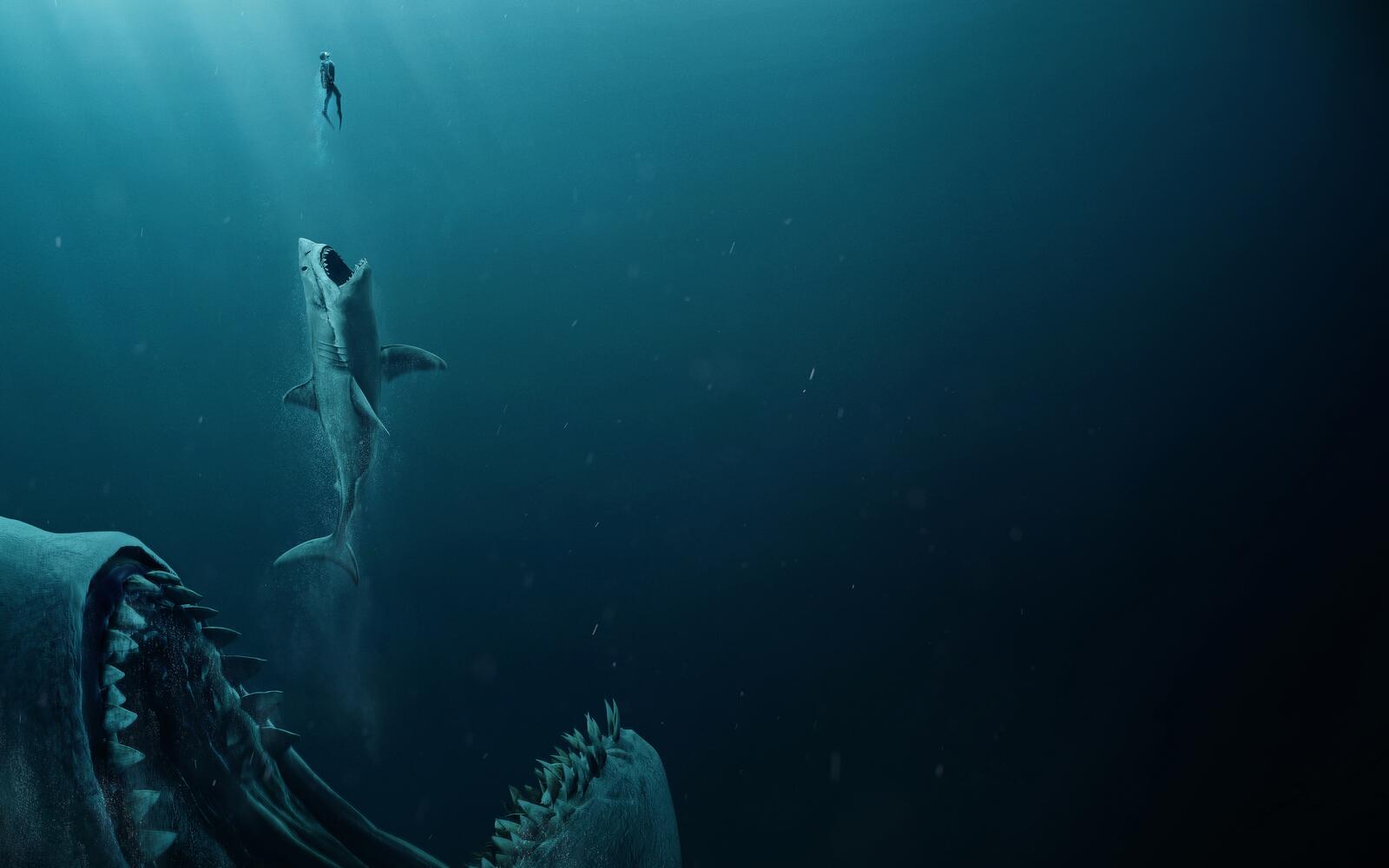 Wallpapers shark underwater wallpaper the Meg 2018 on the desktop