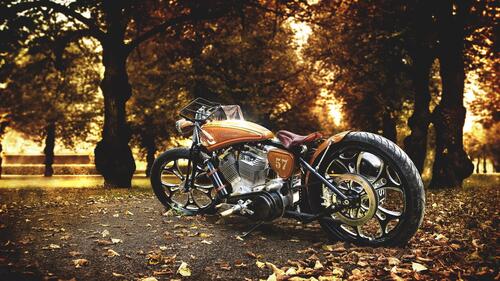Harley Davidson stands in a fall park