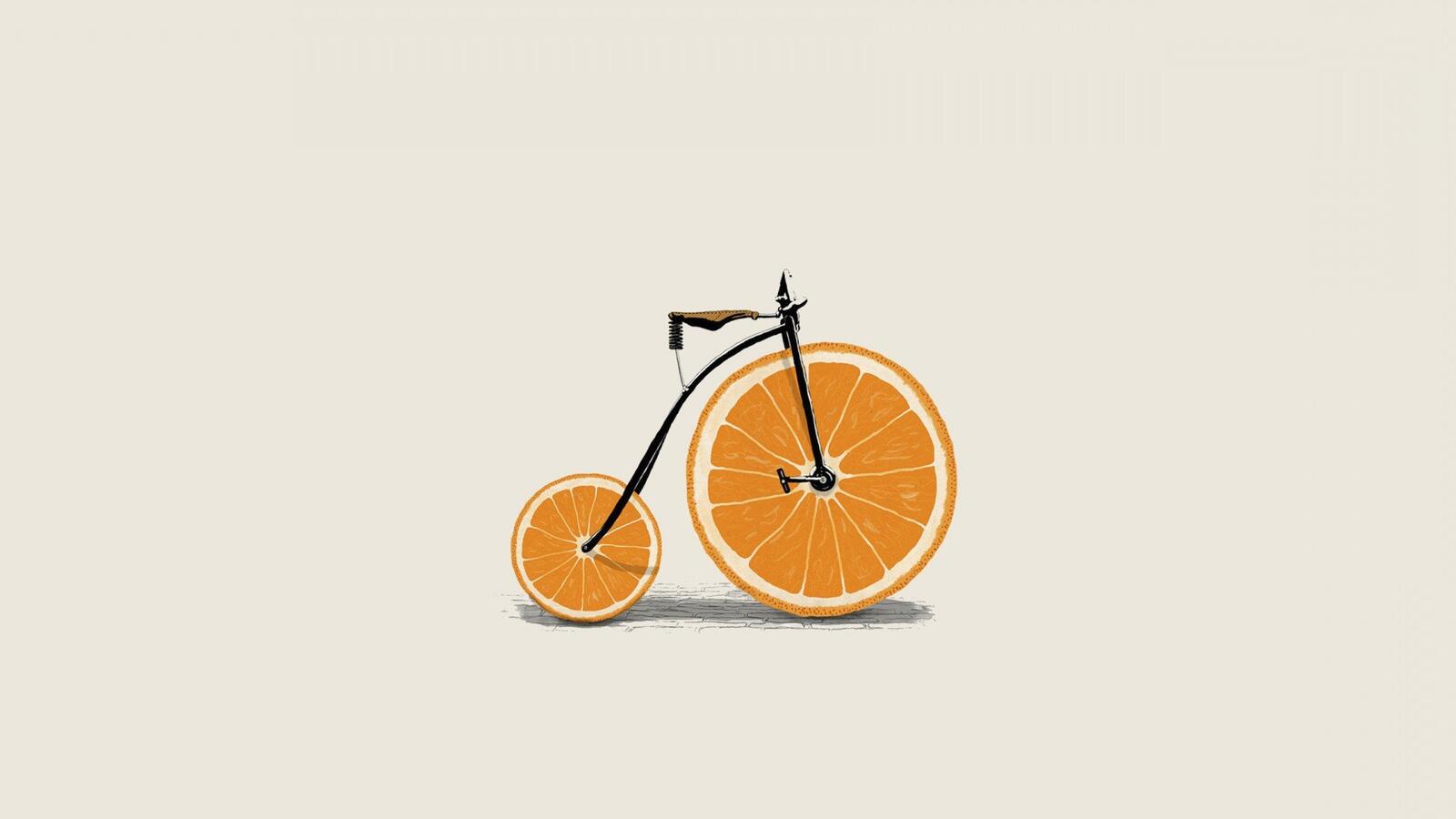 велосипед минимализм художник