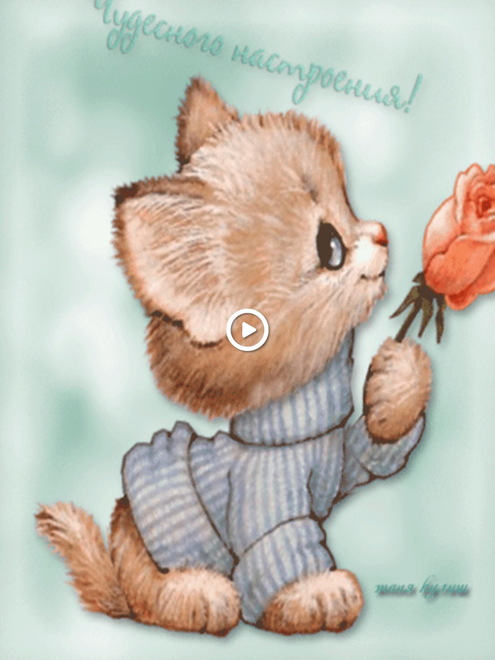 A postcard on the subject of request kitten flower for free