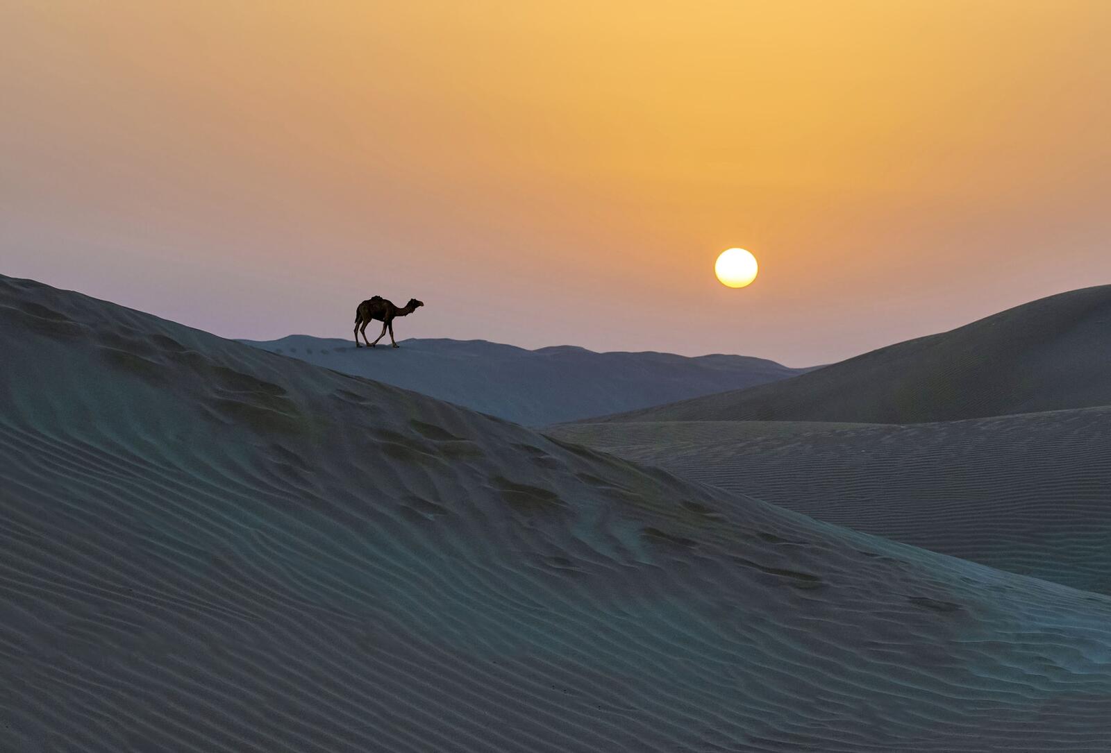 Wallpapers Kara-Kum desert sand sunset on the desktop
