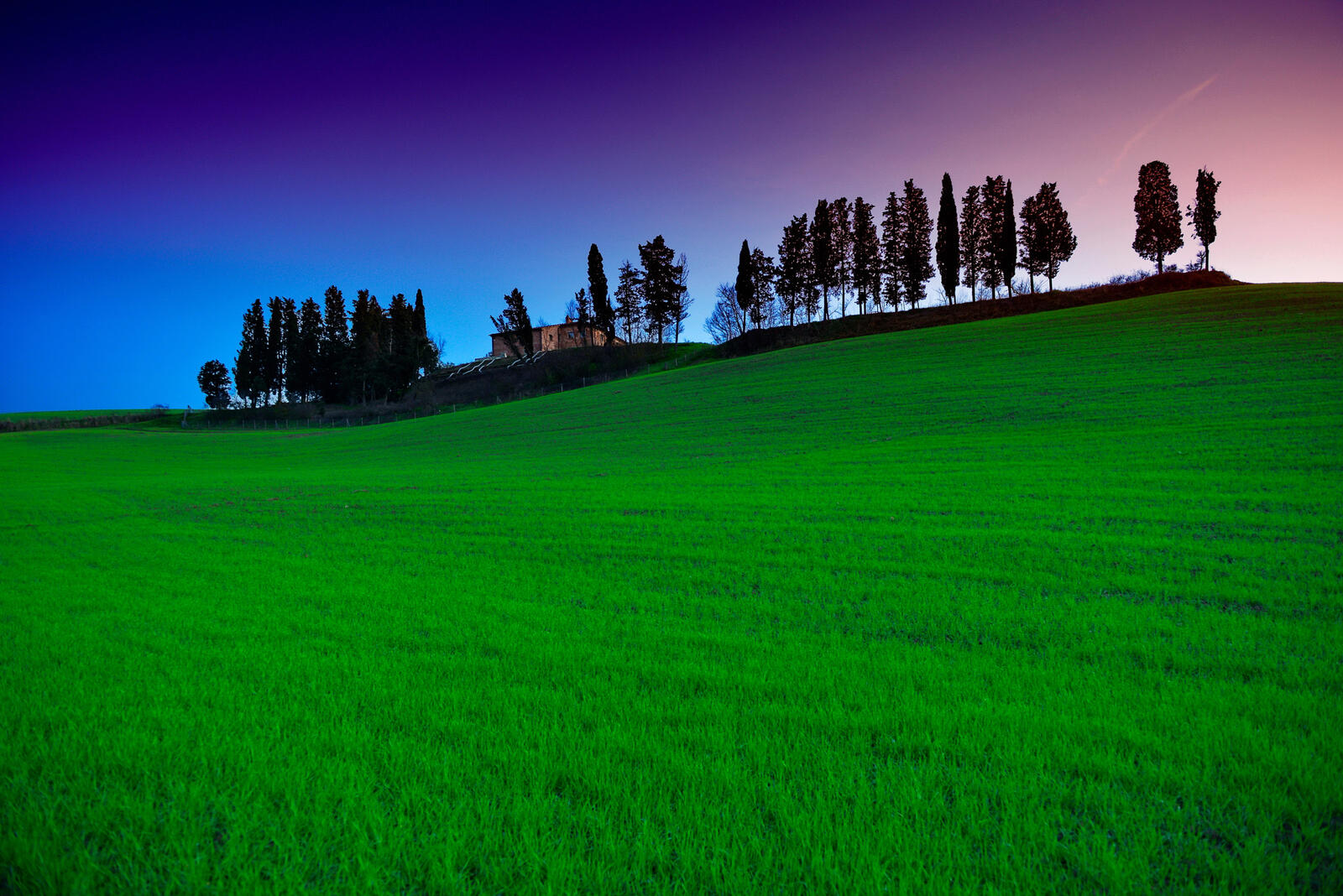 Wallpapers Tuscany grass silhouettes on the desktop