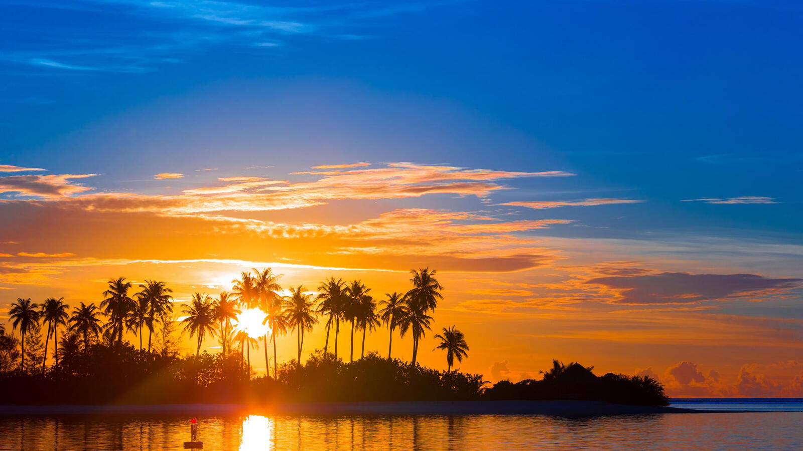 Wallpapers sunset palm trees tropics on the desktop