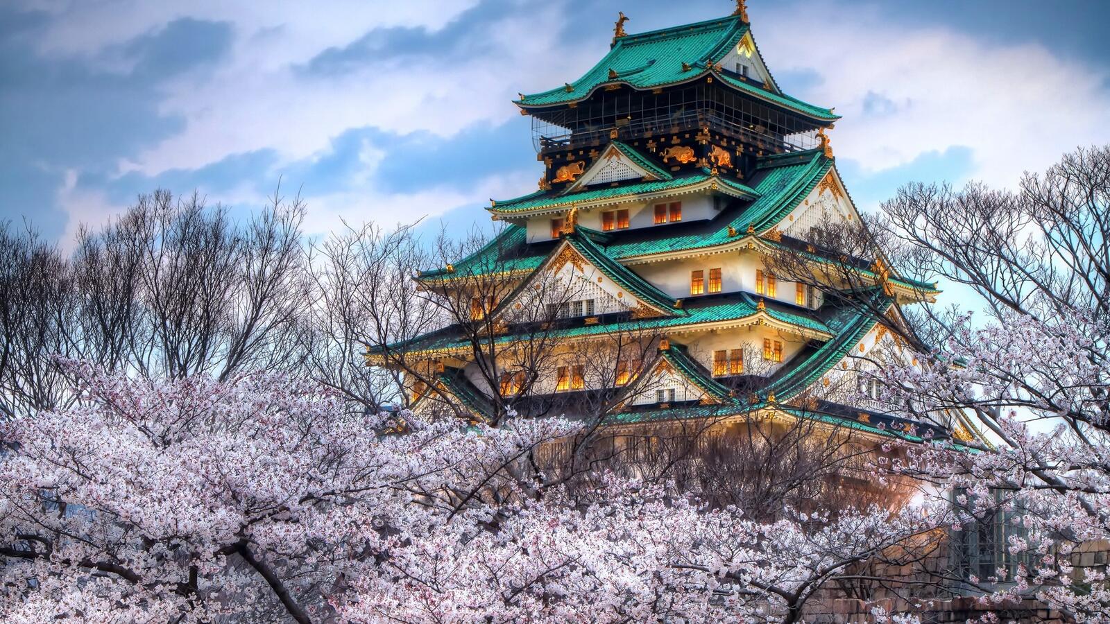 Wallpapers asian temple cherry temple on the desktop