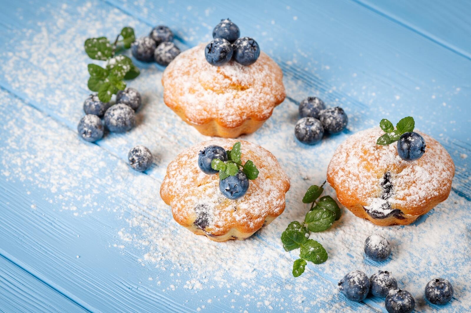Wallpapers cake blueberries powdered sugar on the desktop