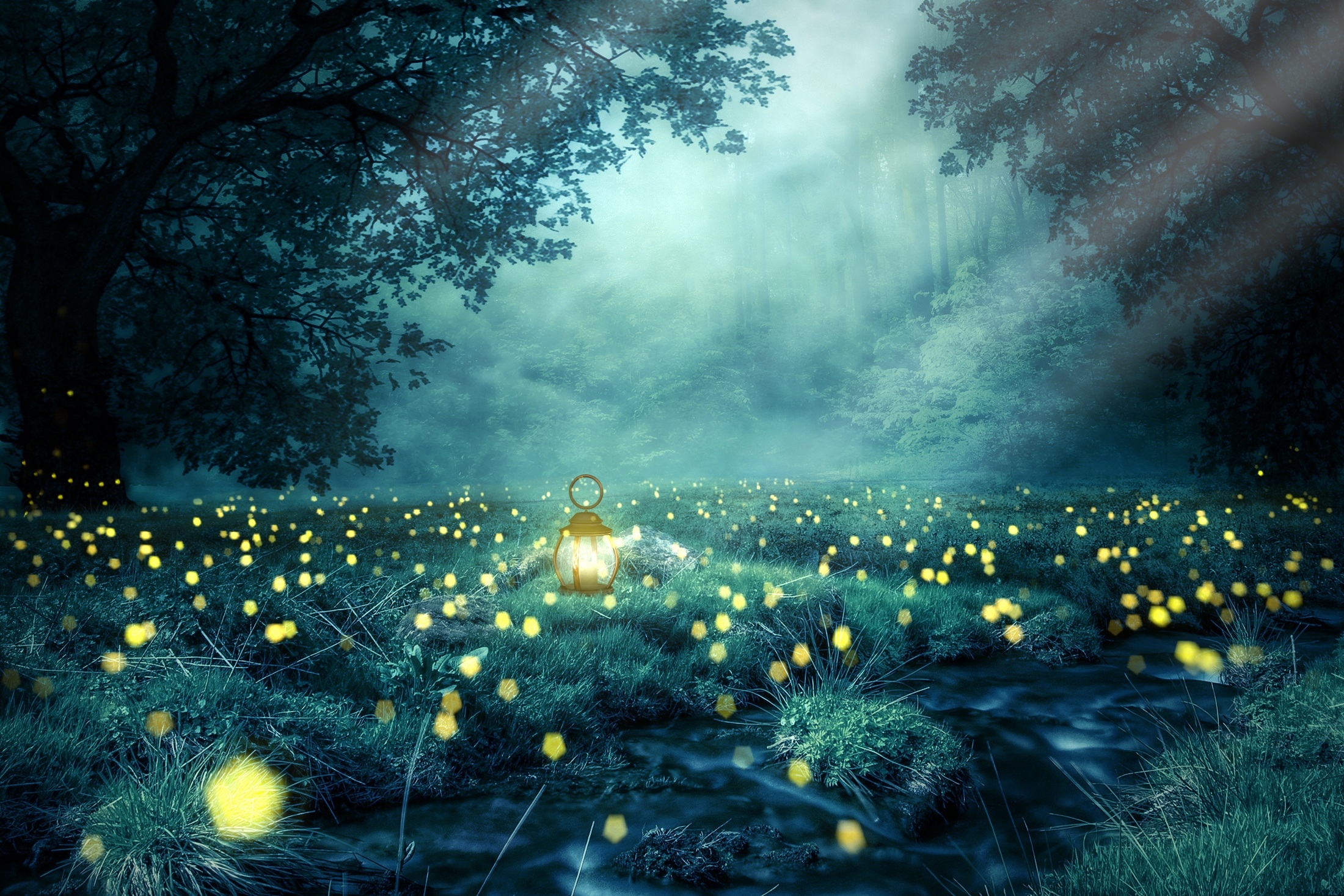 免费照片梦幻夜色森林中闪闪发光的手电筒
