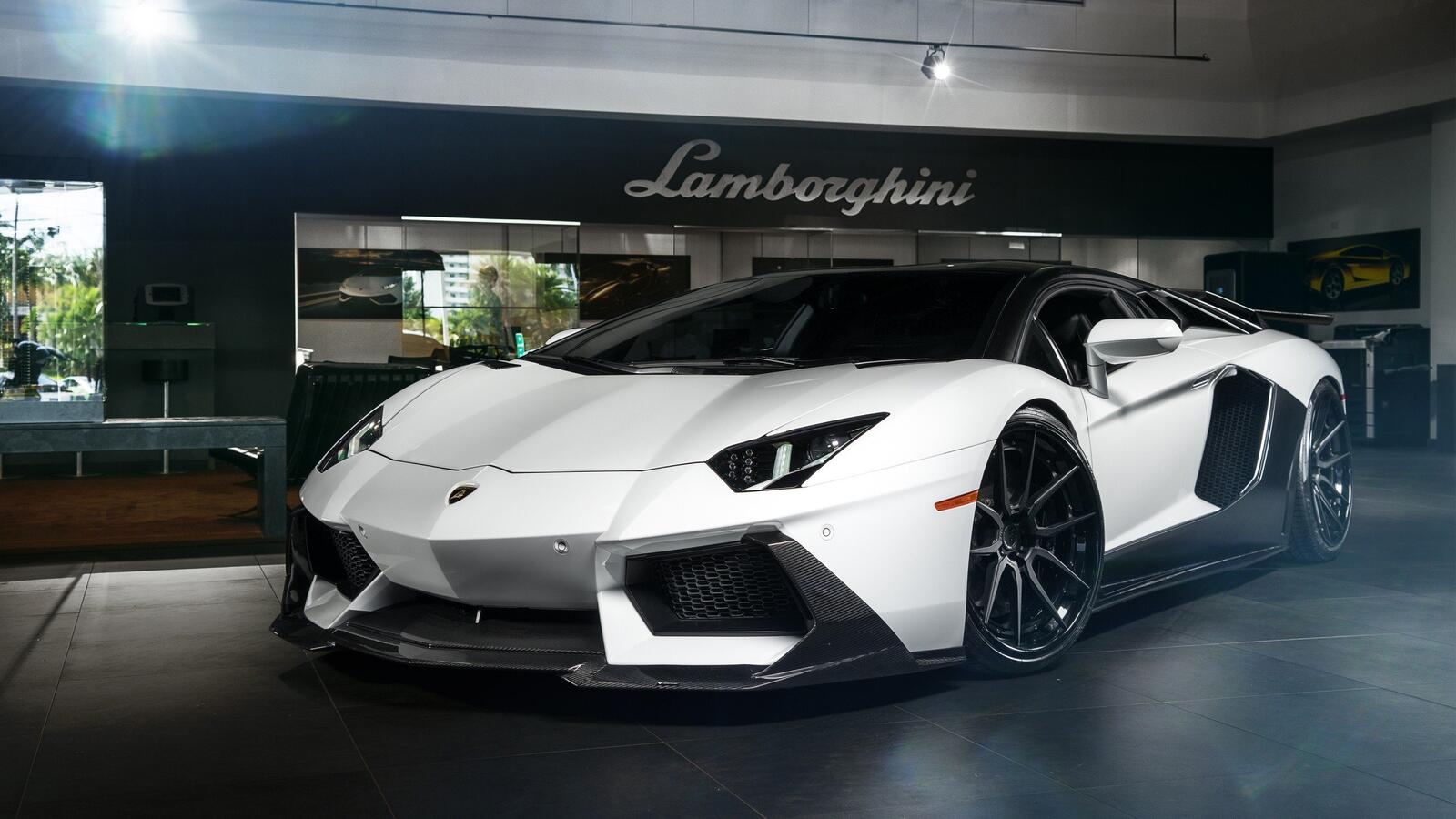 Wallpapers Lamborghini white car view from front on the desktop