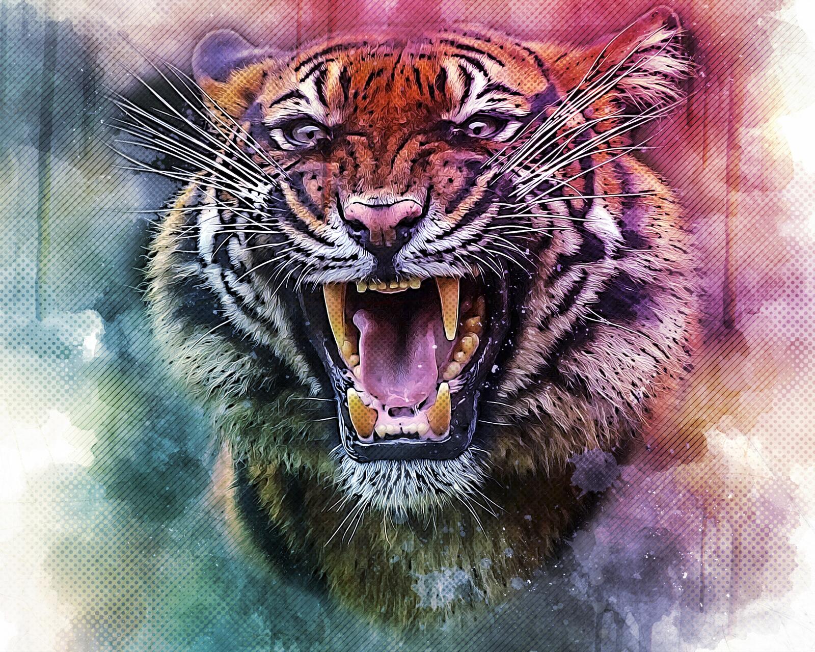 Wallpapers tiger big cat snarl on the desktop