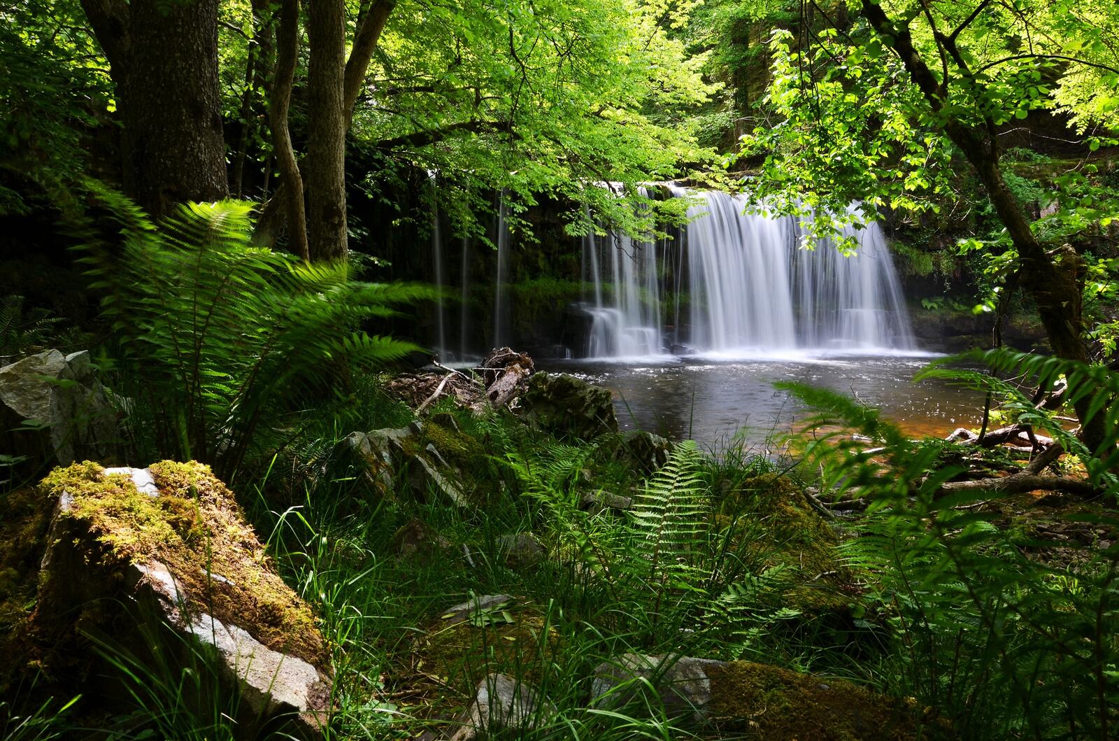 Бесплатное фото Фото картинки лес, водопад