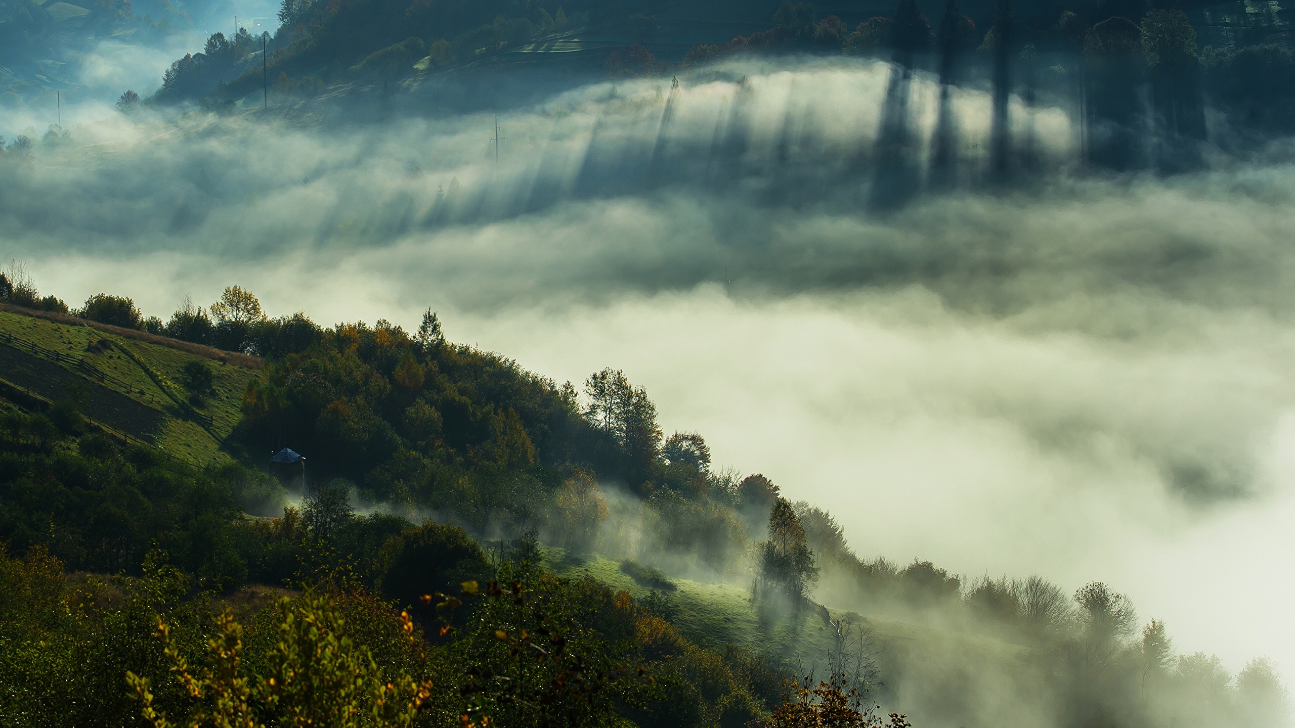 Wallpapers Ukraine Transcarpathian region fog on the desktop