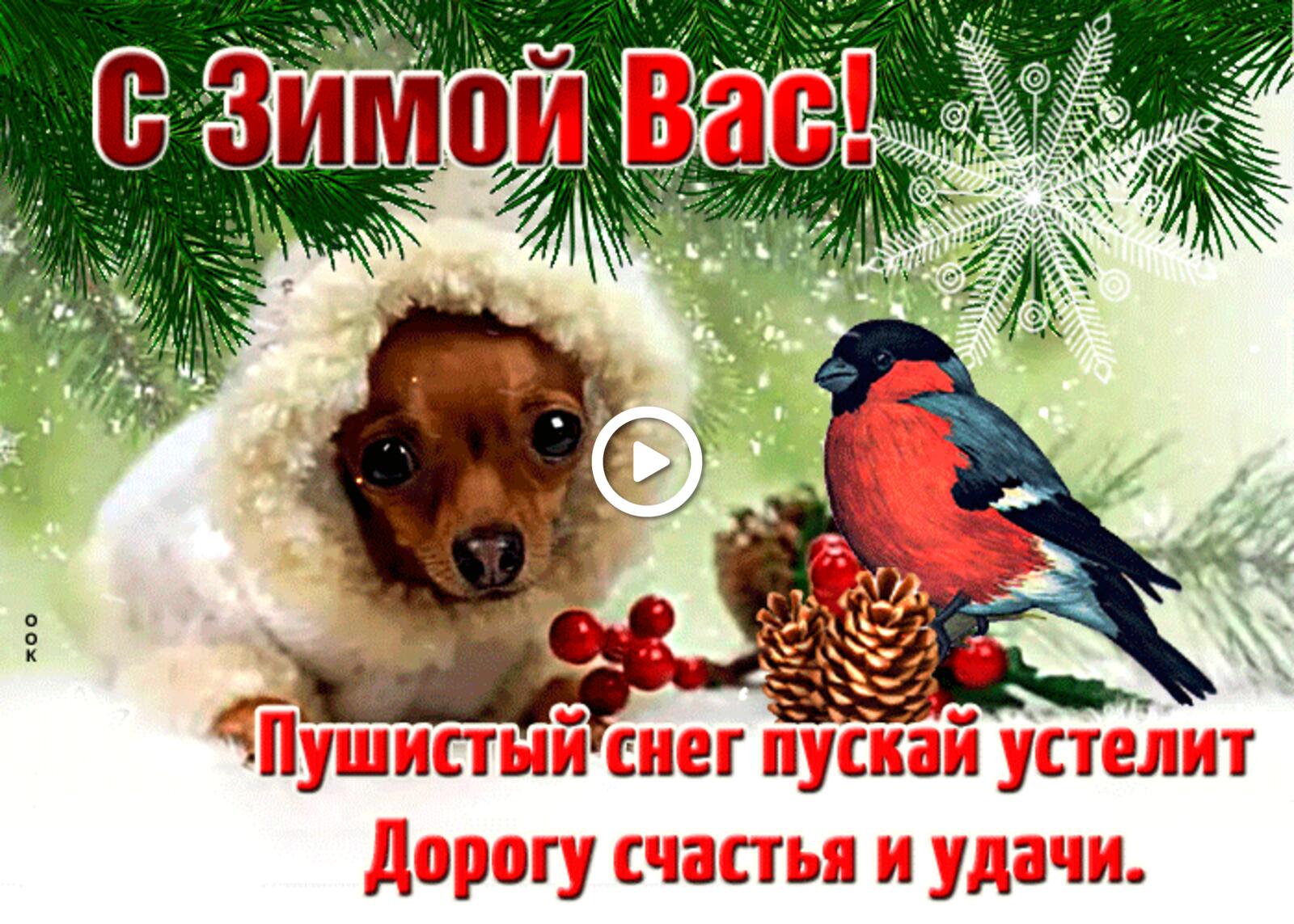 一张以祝你冬季快乐 幸福和好运 狗为主题的明信片