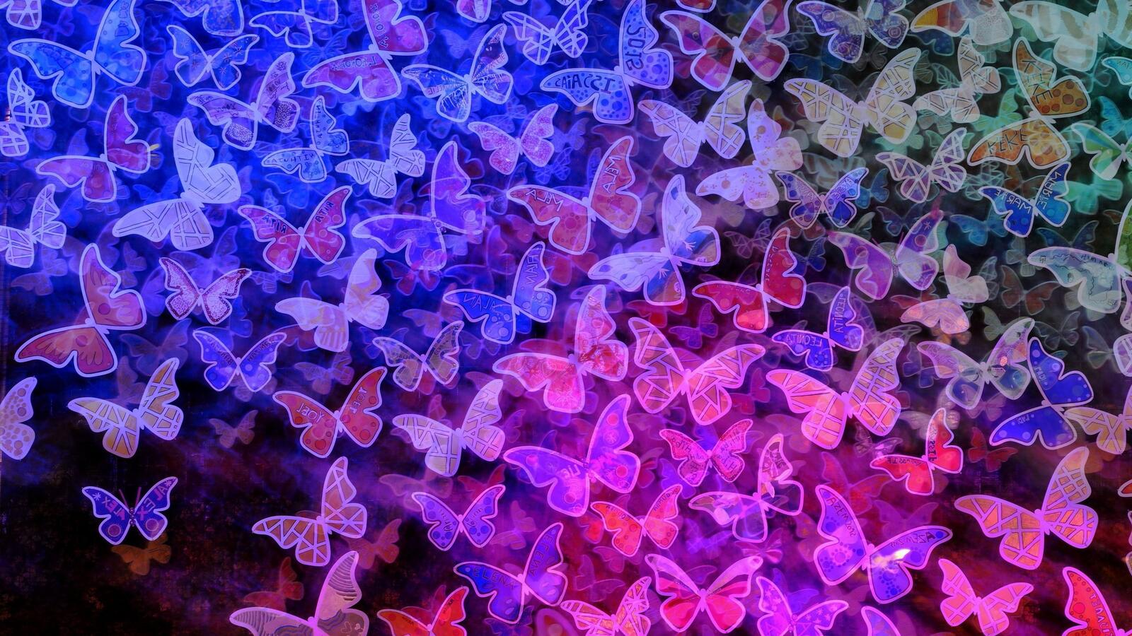 Wallpapers butterfly artist digital art on the desktop