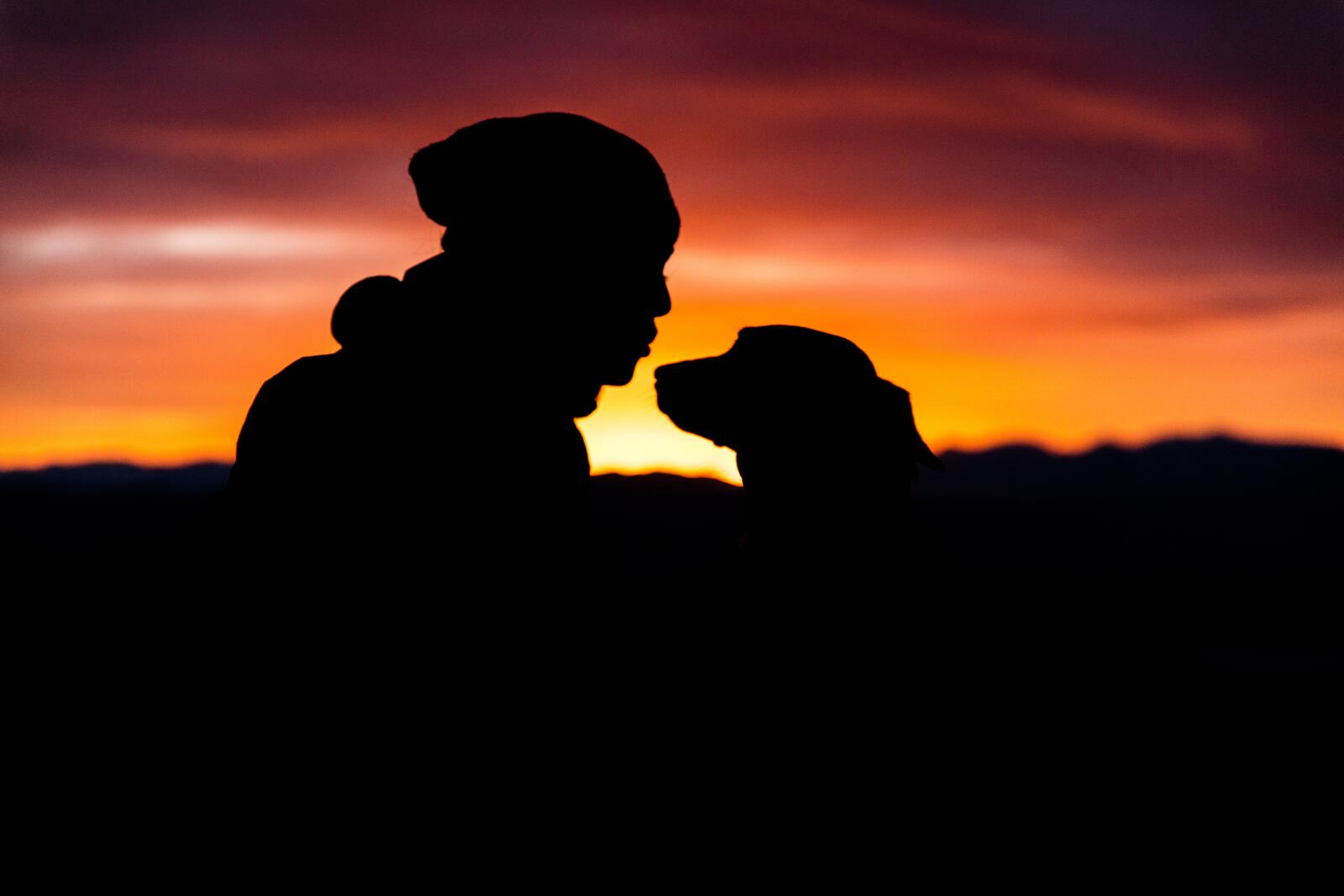Wallpapers silhouettes person dog on the desktop