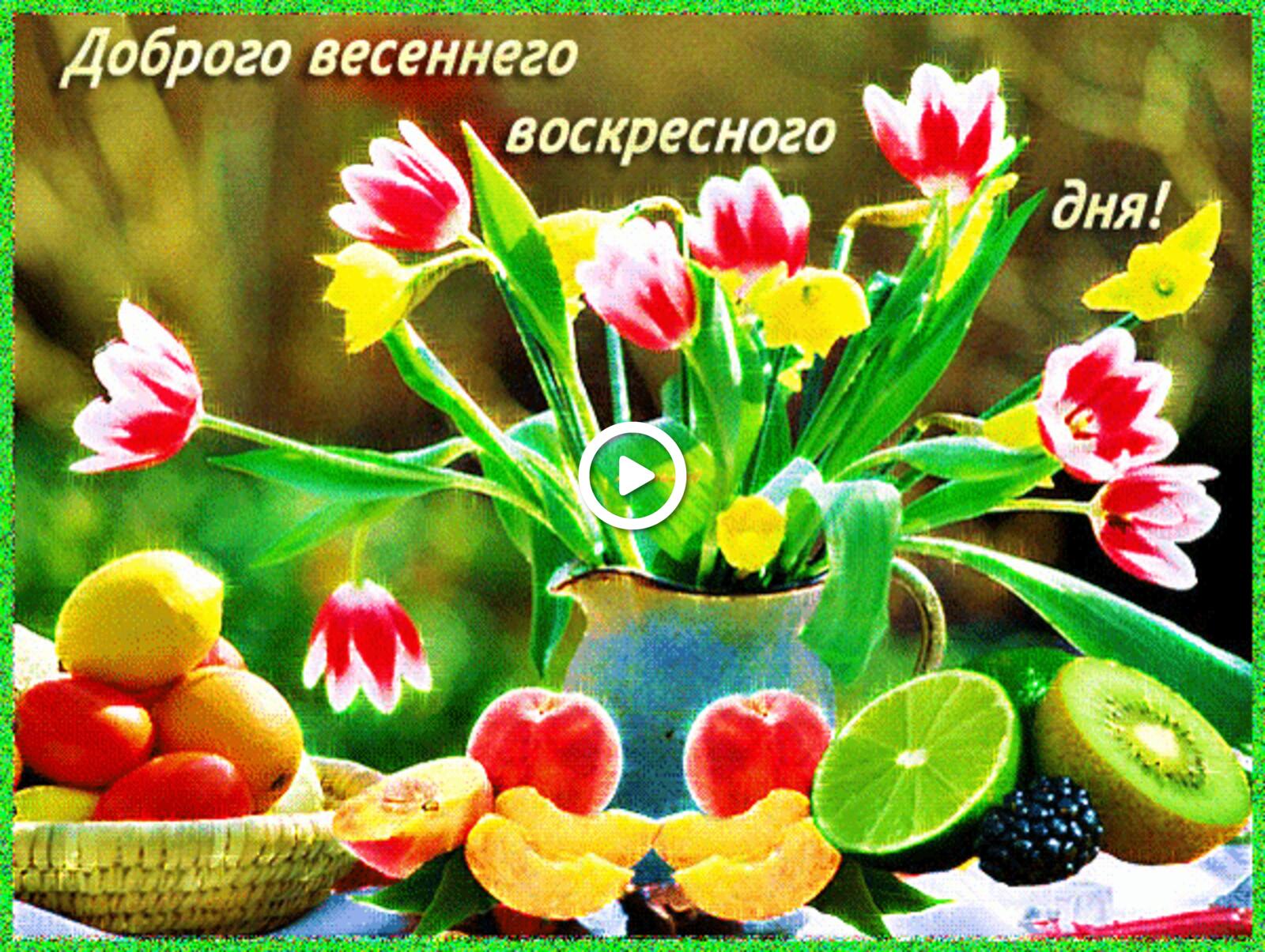 A postcard on the subject of good sunday morning good morning beautiful spring pictures fruits for free