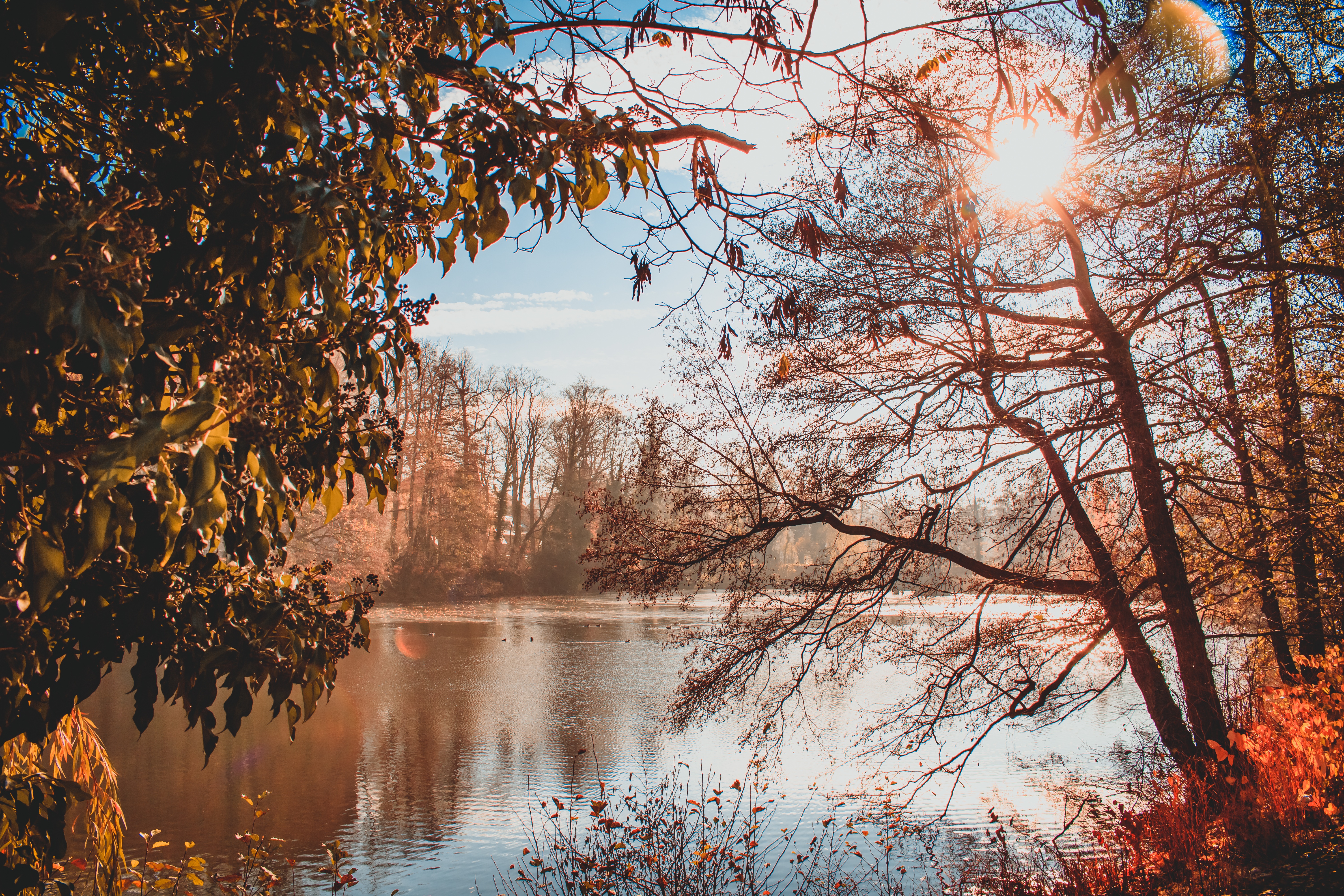 Бесплатное фото Солнечный осенний день на реке