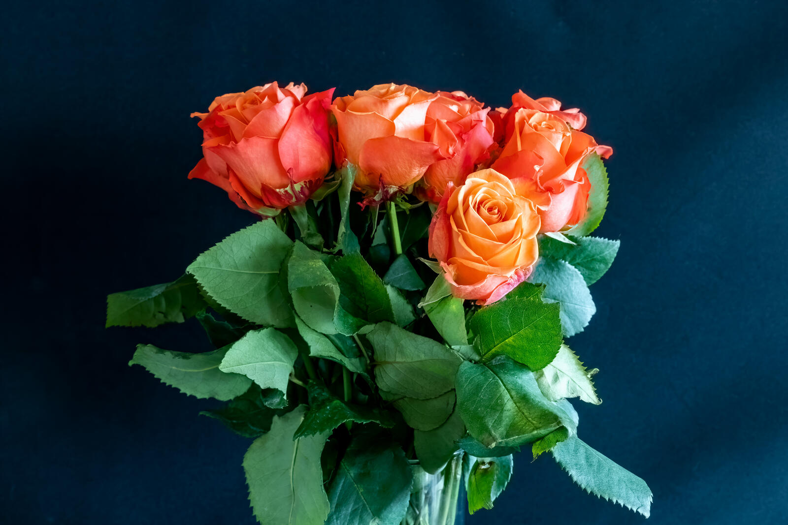 Бесплатное фото Небольшой букет с  розами