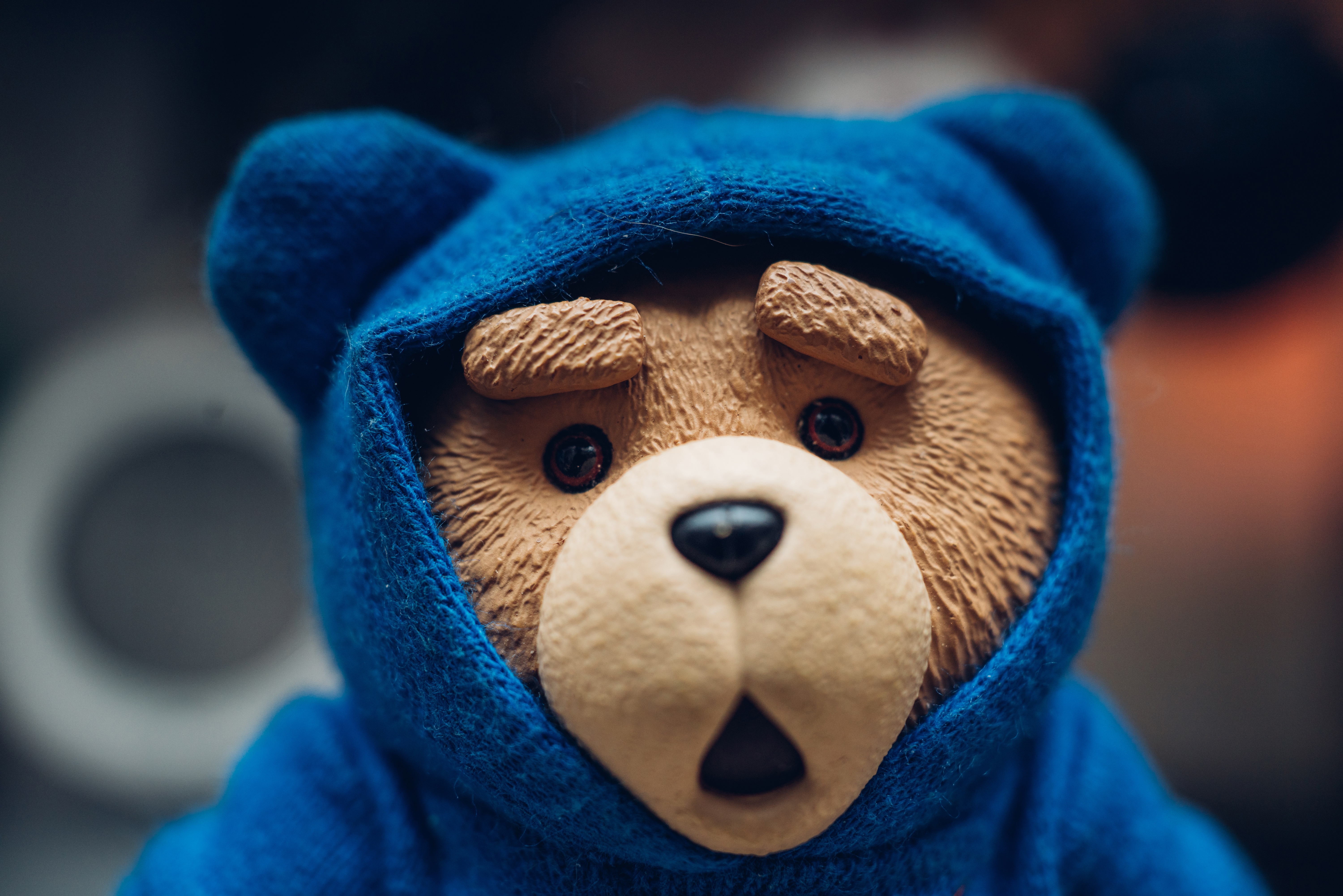 Wallpapers teddy bear toys shocked expression on the desktop