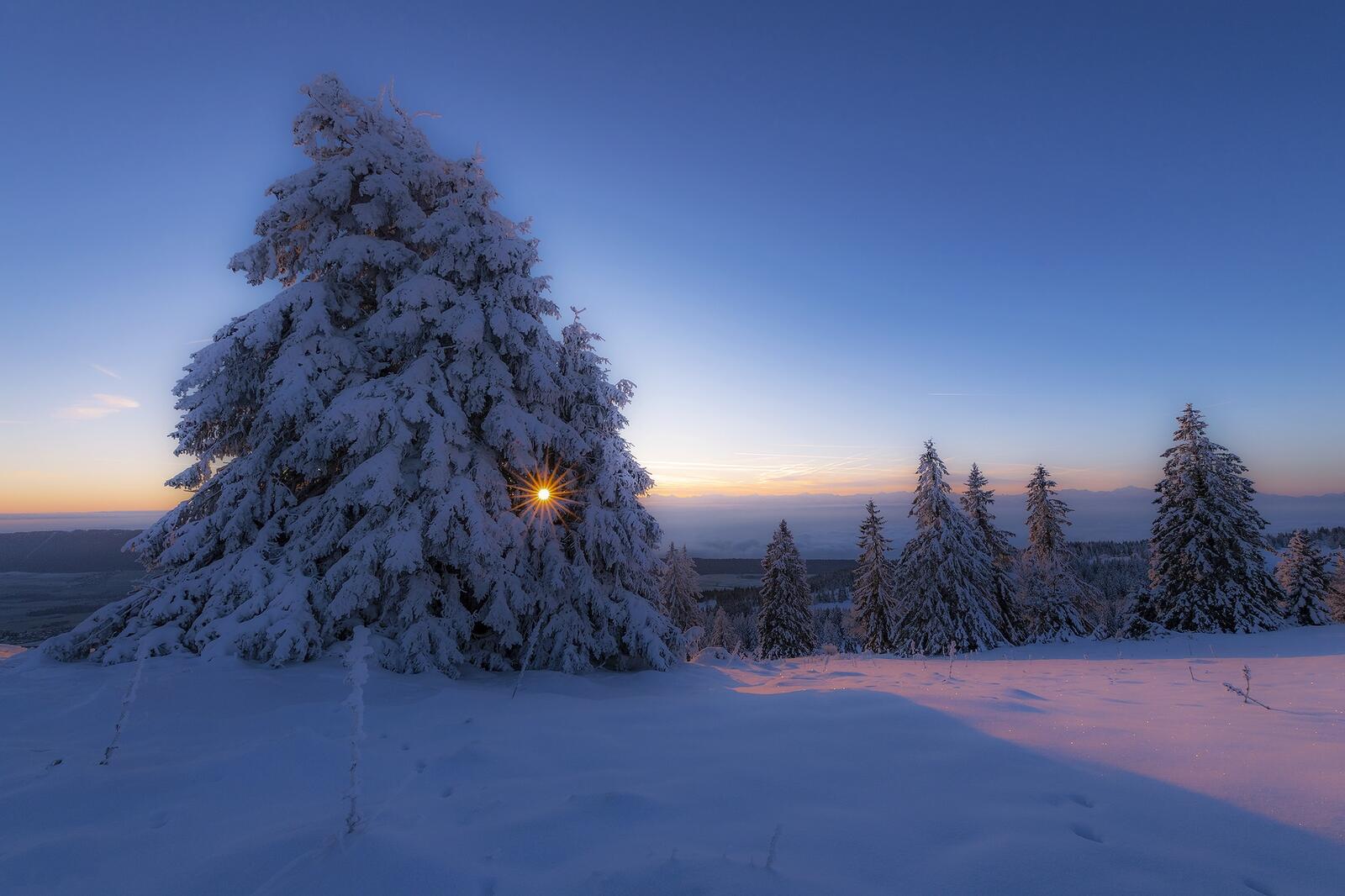 Бесплатное фото Заставка зима, закат на монитор