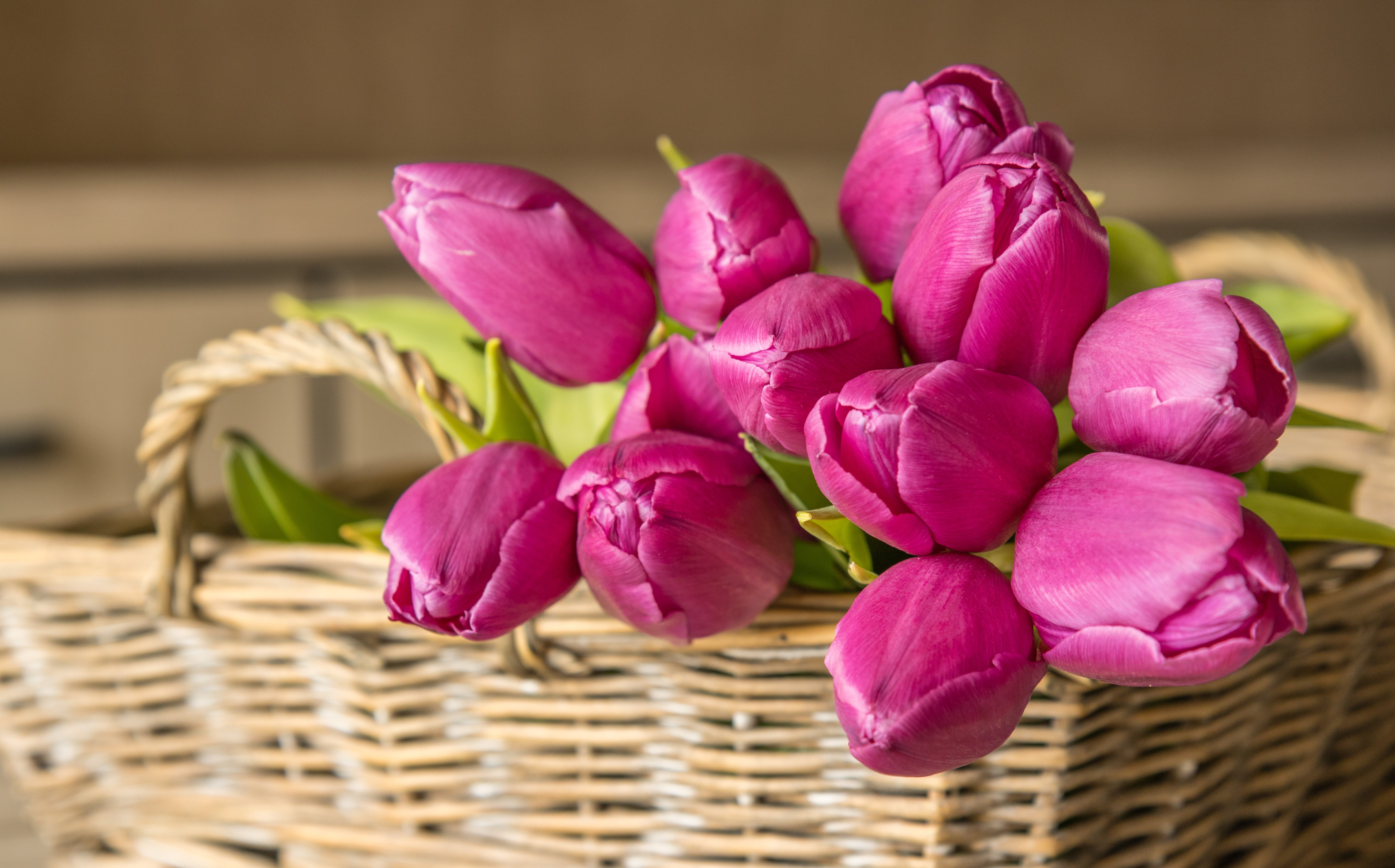 Обои цветы букеты тюльпан на рабочий стол