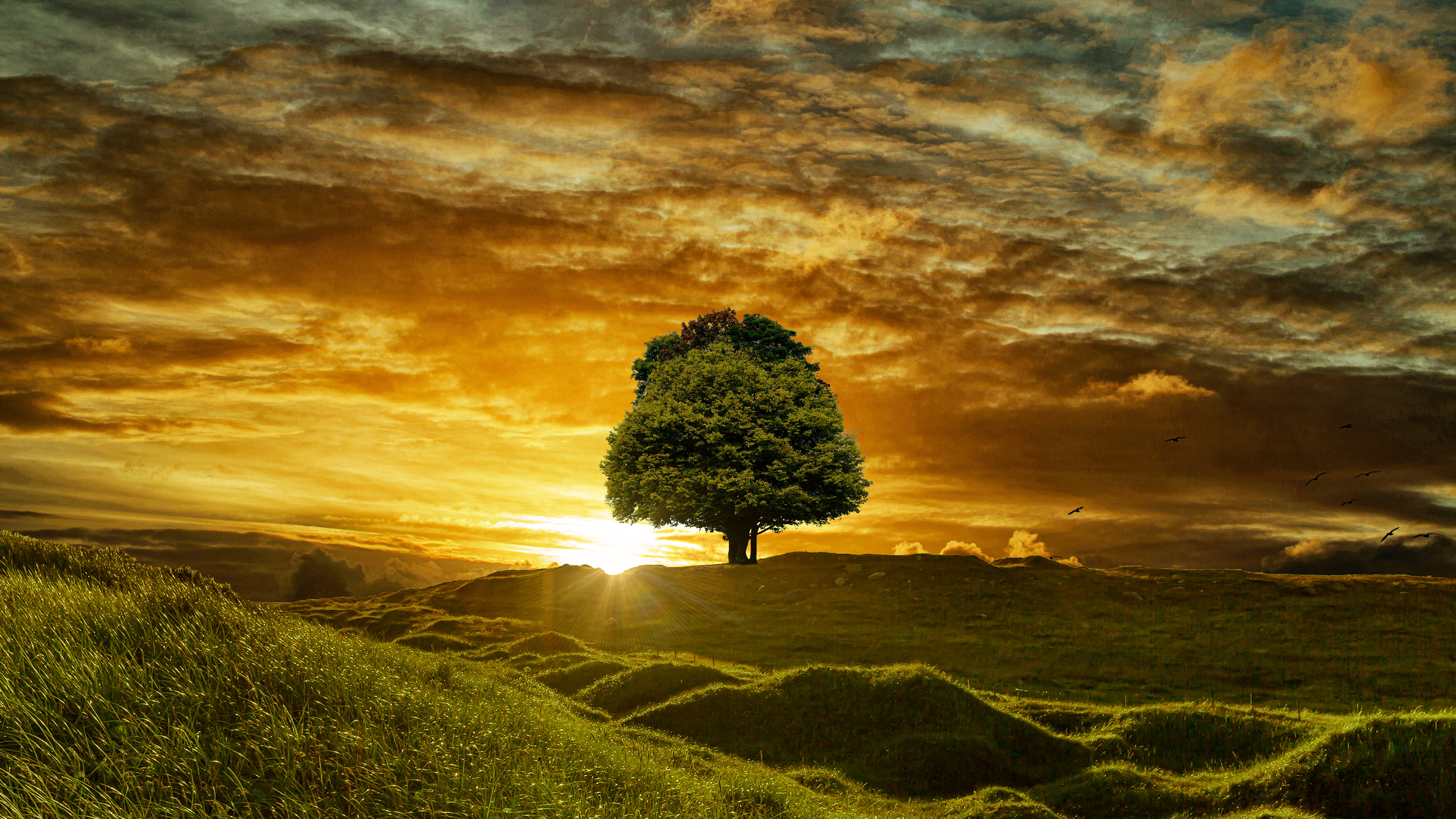 Wallpapers fantastic picturesque alone tree on the desktop