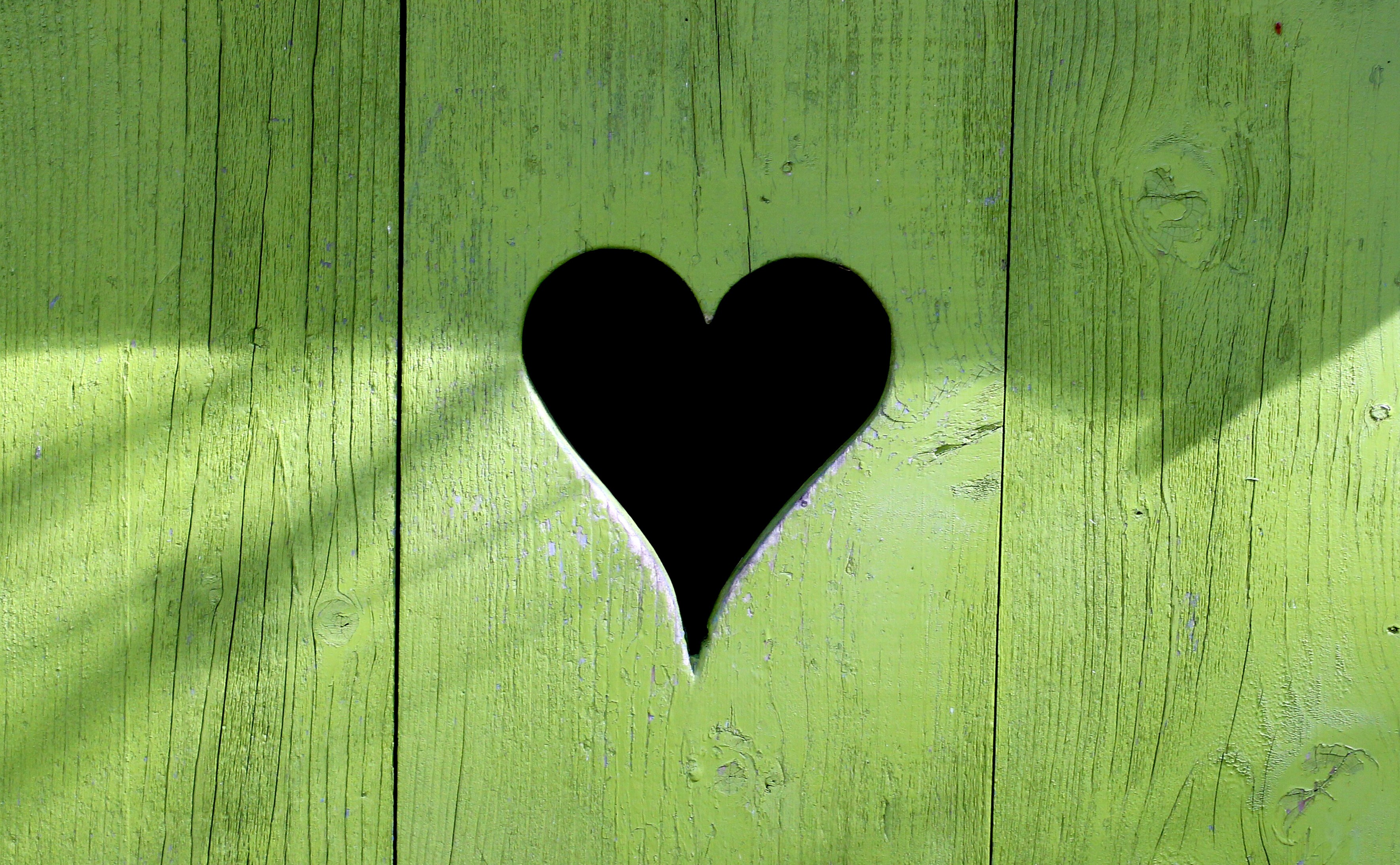 Wallpapers a day of lovers Valentine day wood on the desktop