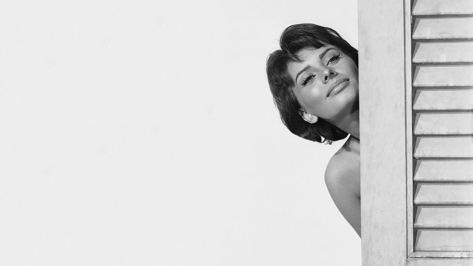Free photo Sophia Loren