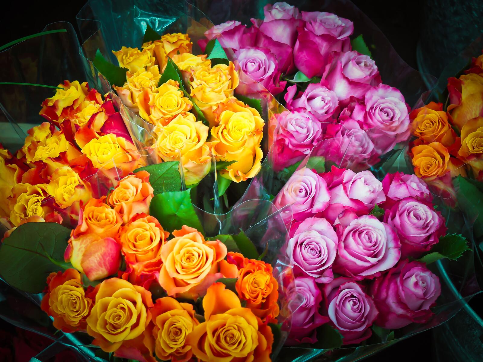免费照片五颜六色的玫瑰花束