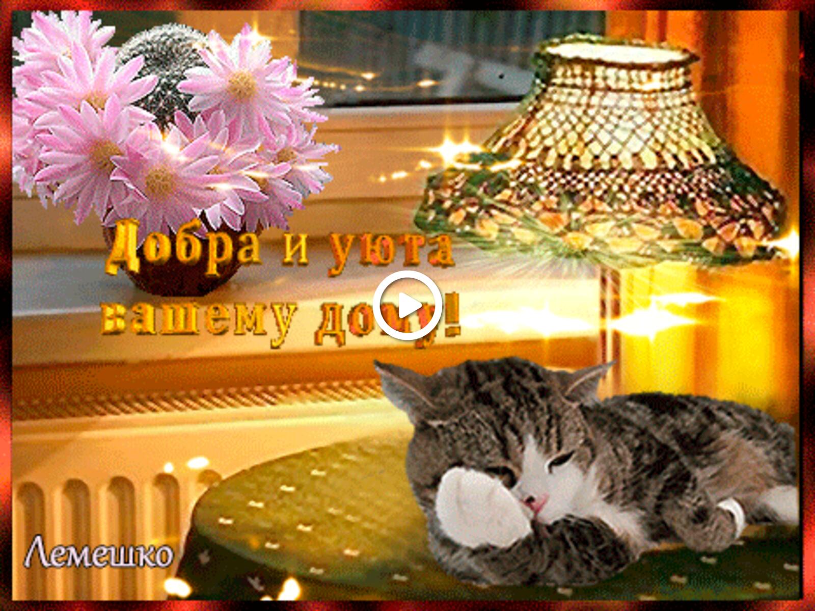 warmth and comfort for your home postcards of warmth and comfort for your home cats