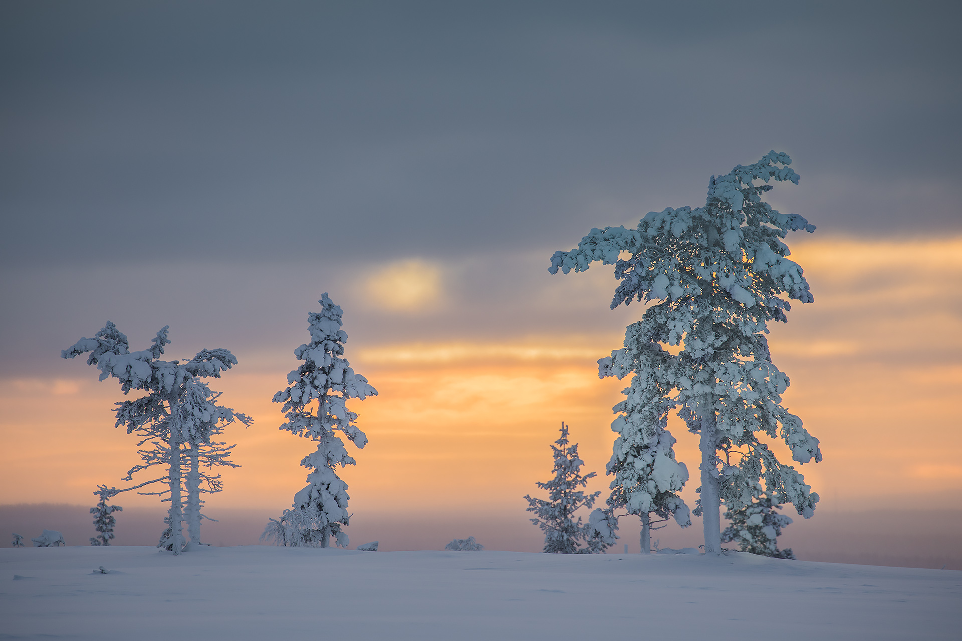 Wallpapers landscape Lapland winter on the desktop