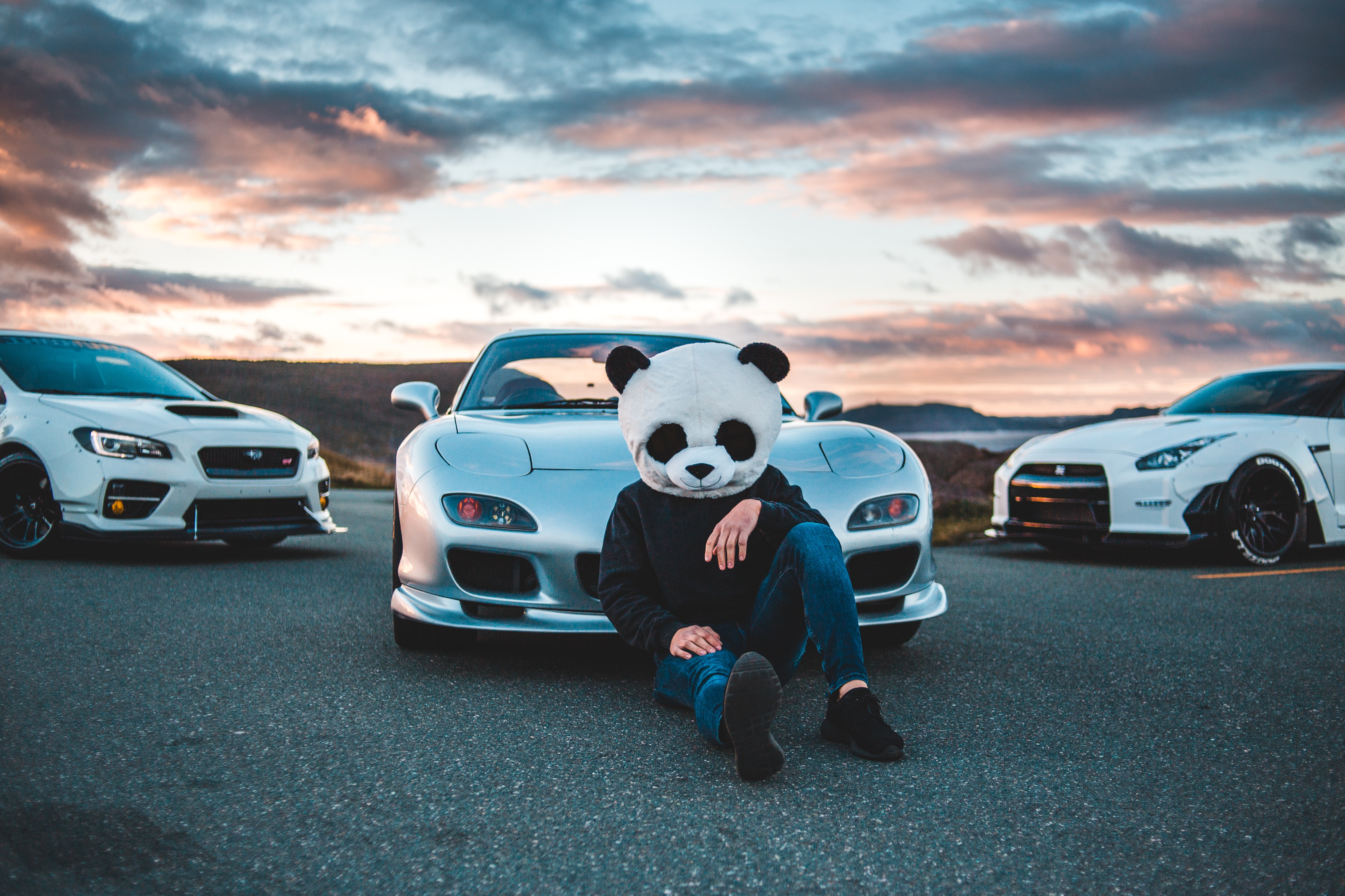 Photo free panda, cars, photos