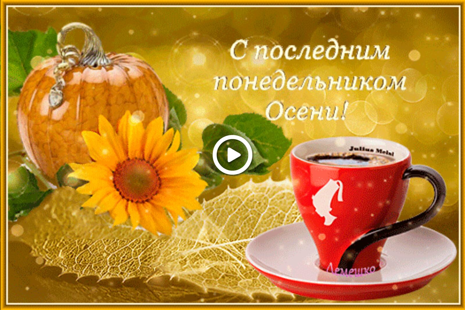 A postcard on the subject of sunflower coffee cup saucer for free