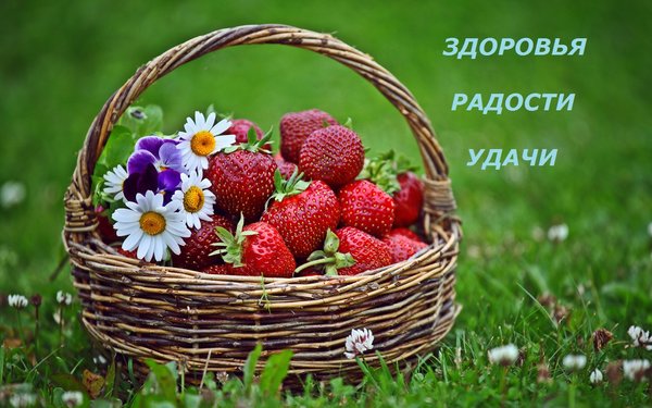 Бесплатная открытка Здоровья радости и счастья с корзиной ягод